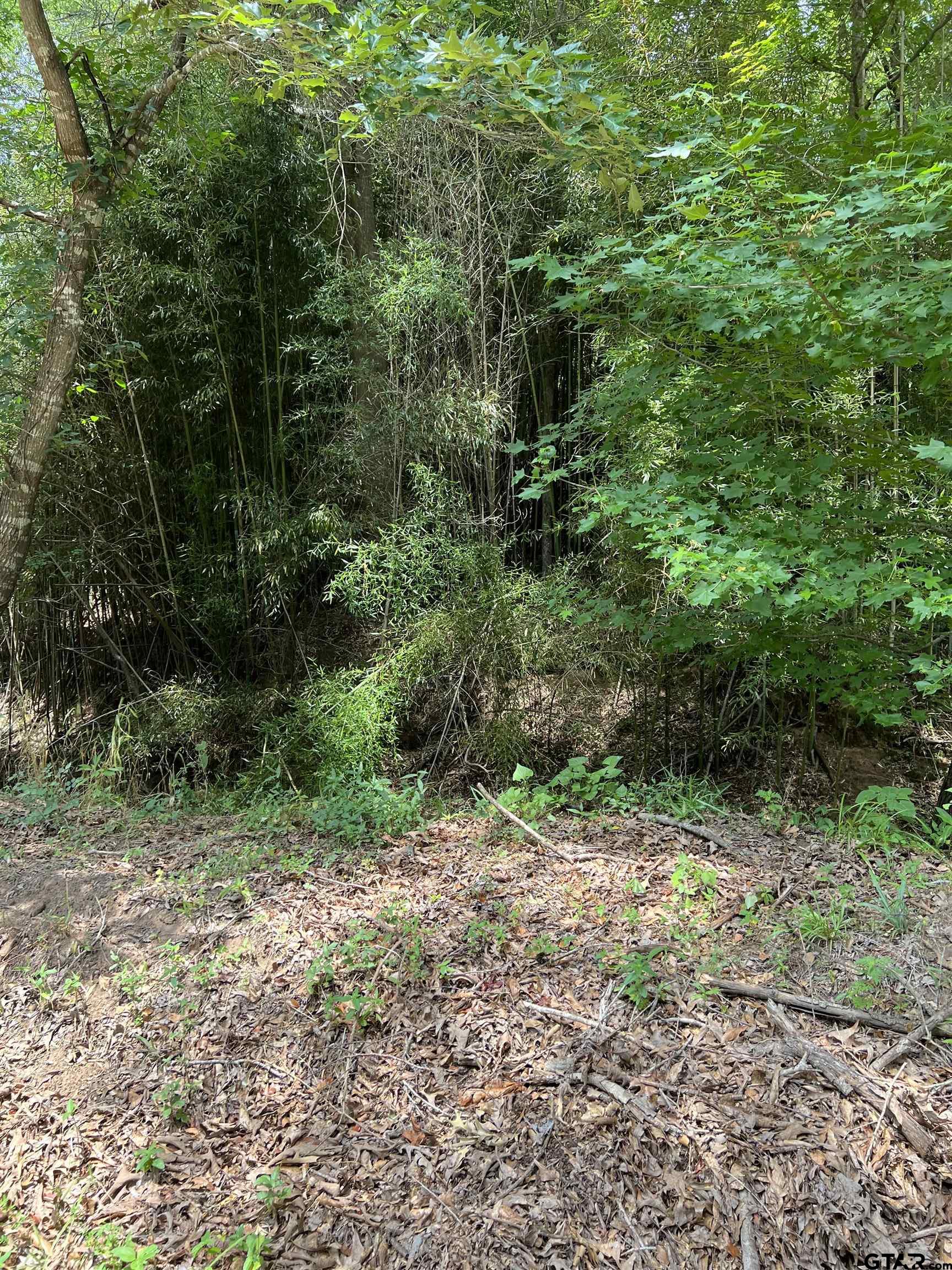 Tbd Cr 4130 Property Photo 1