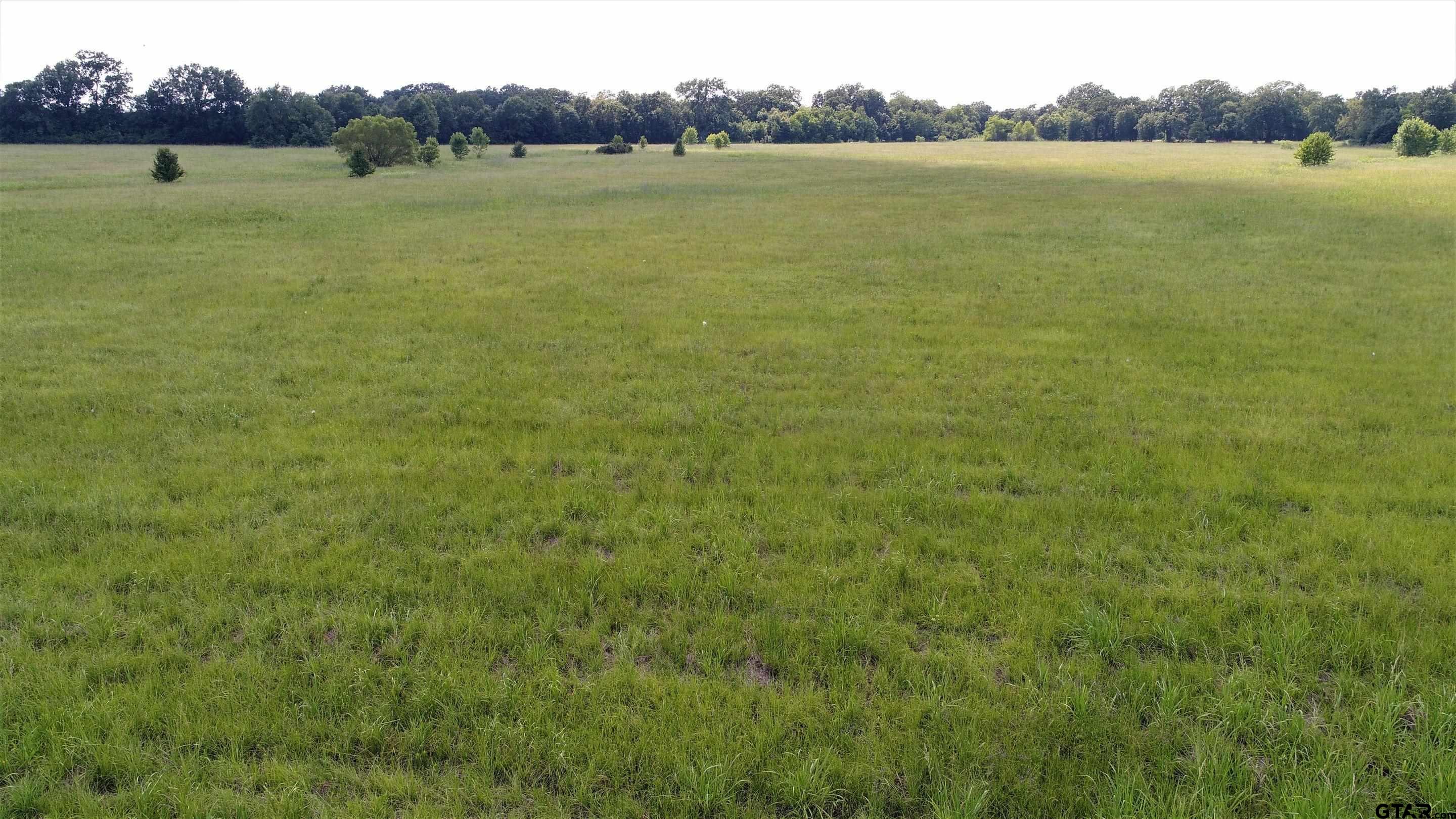 Tbd E Loop 304 Property Photo 5