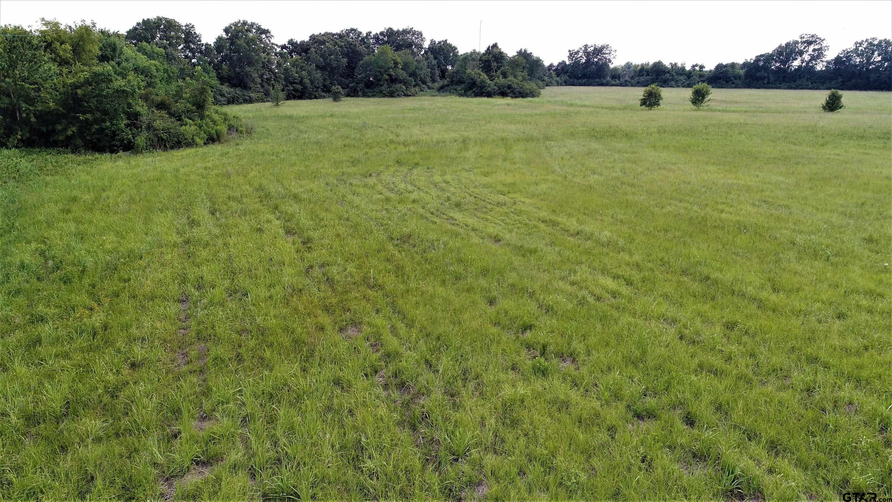 Tbd E Loop 304 Property Photo 6