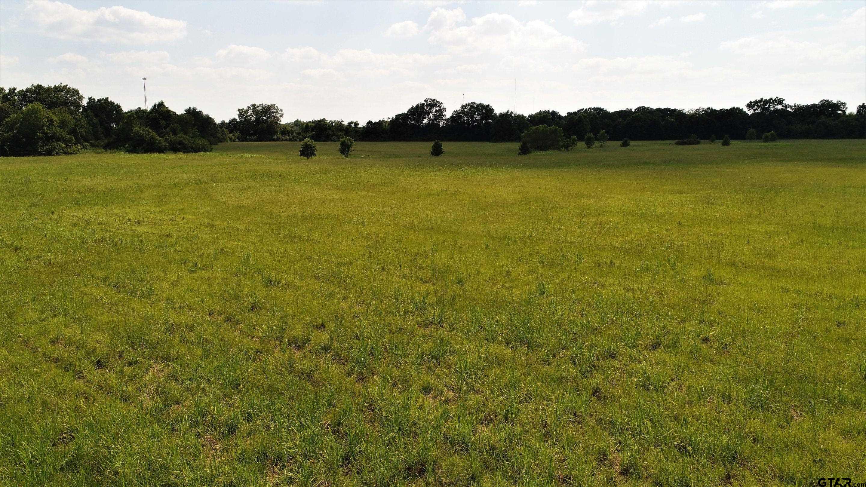 Tbd E Loop 304 Property Photo 7