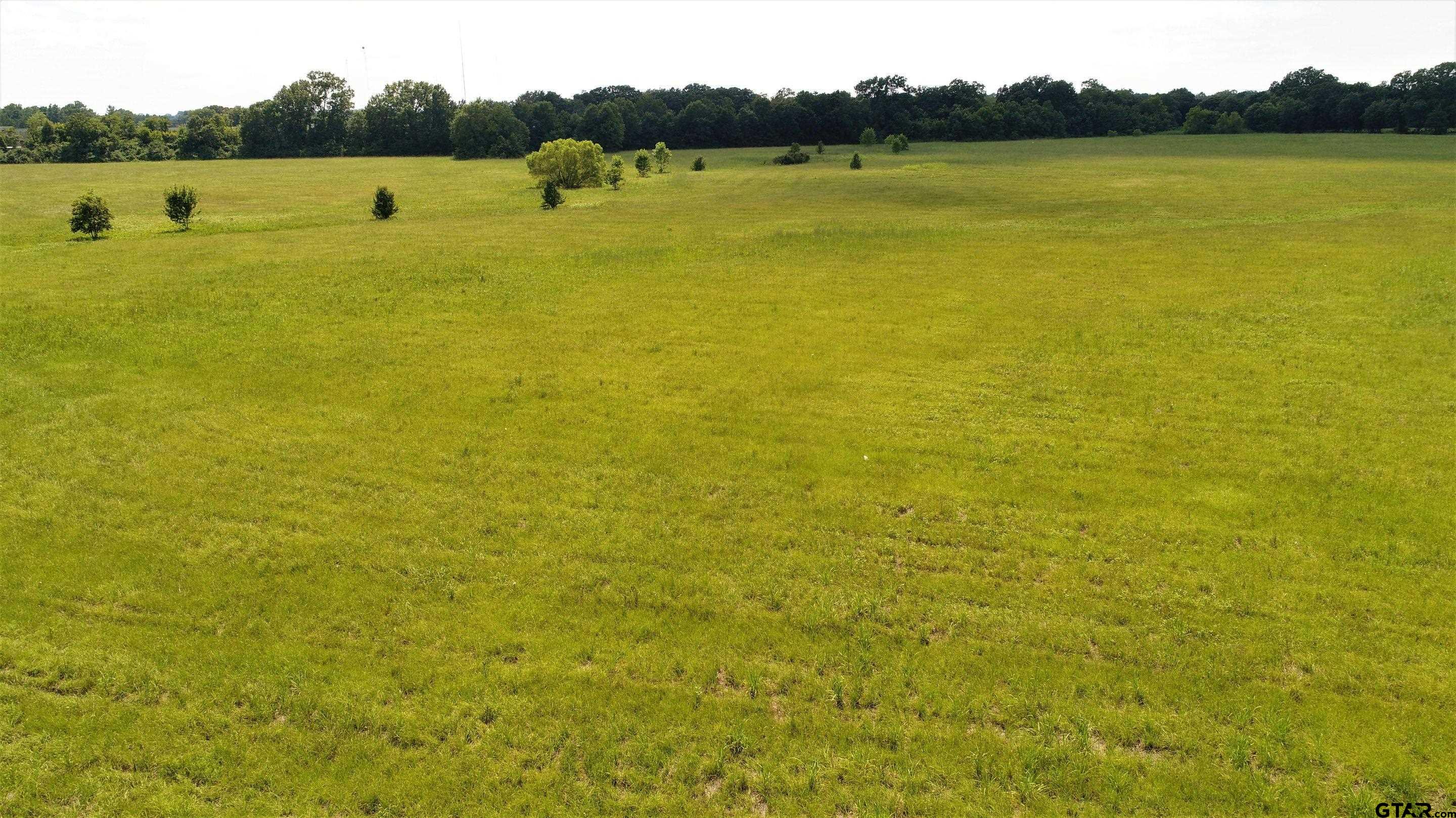Tbd E Loop 304 Property Photo 8