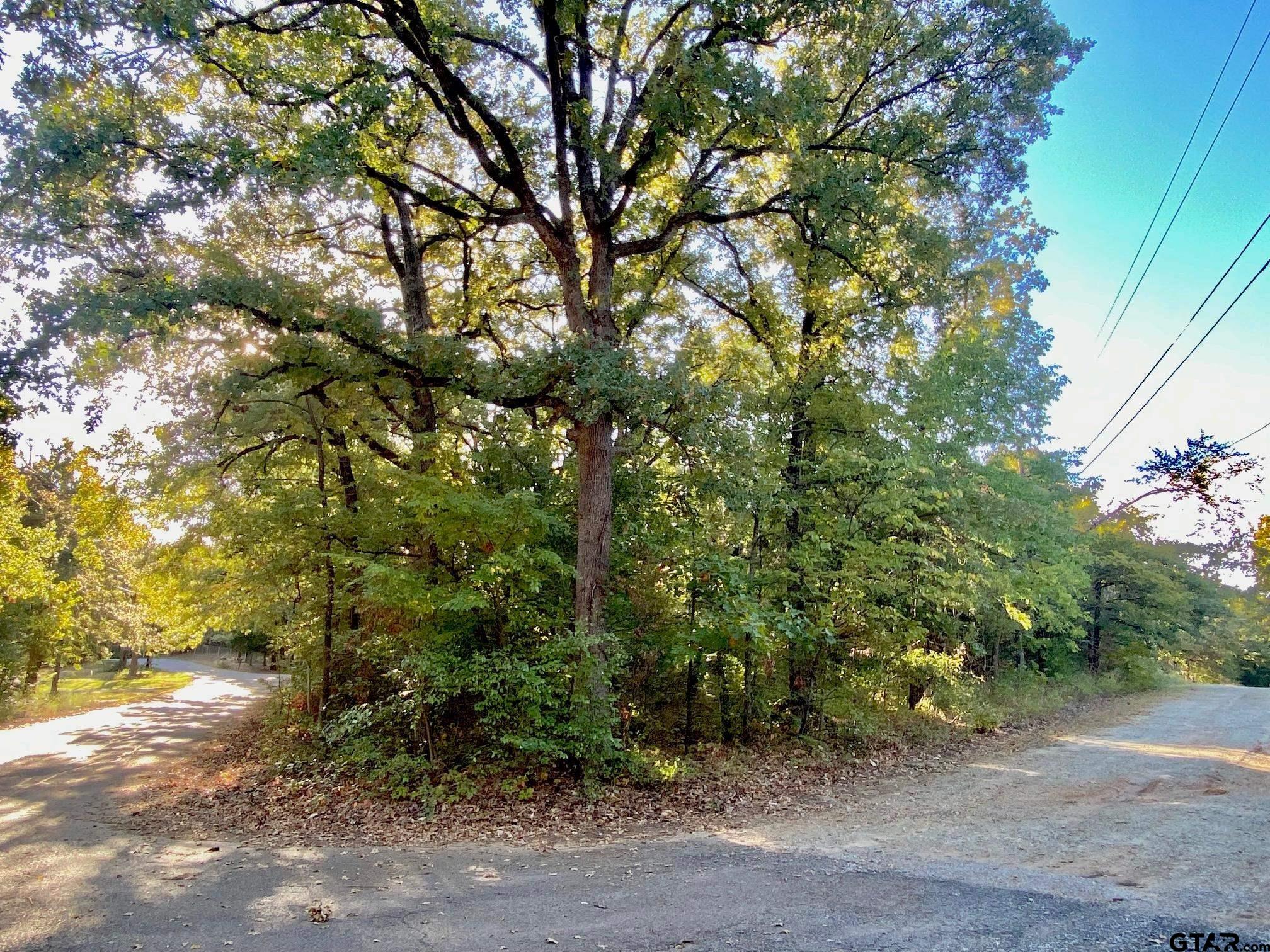 Tbd Loving Lane Property Photo 1