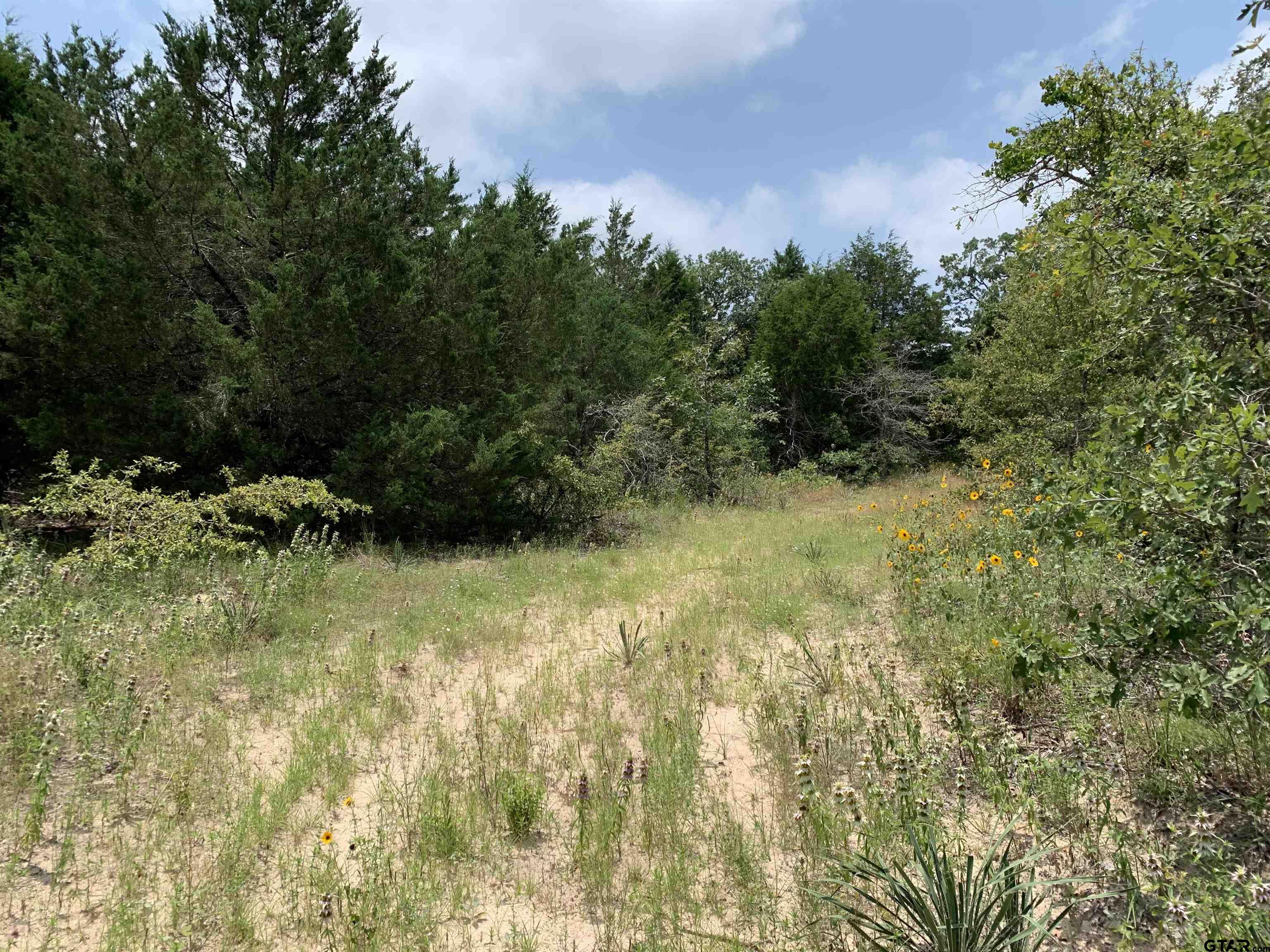 Tbd Fm 2494 Property Photo 1
