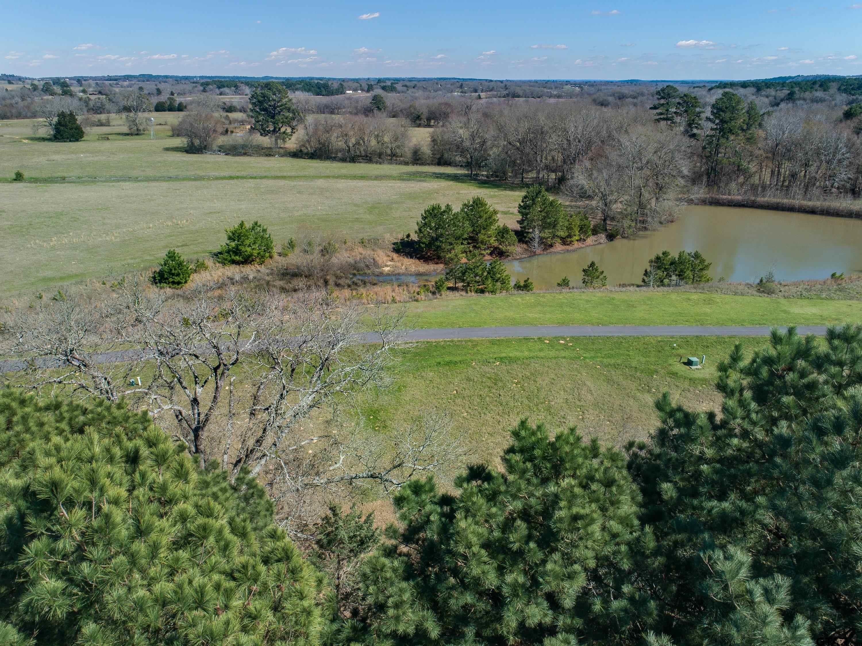 Tbd Caddo Creek Circle Property Photo 5