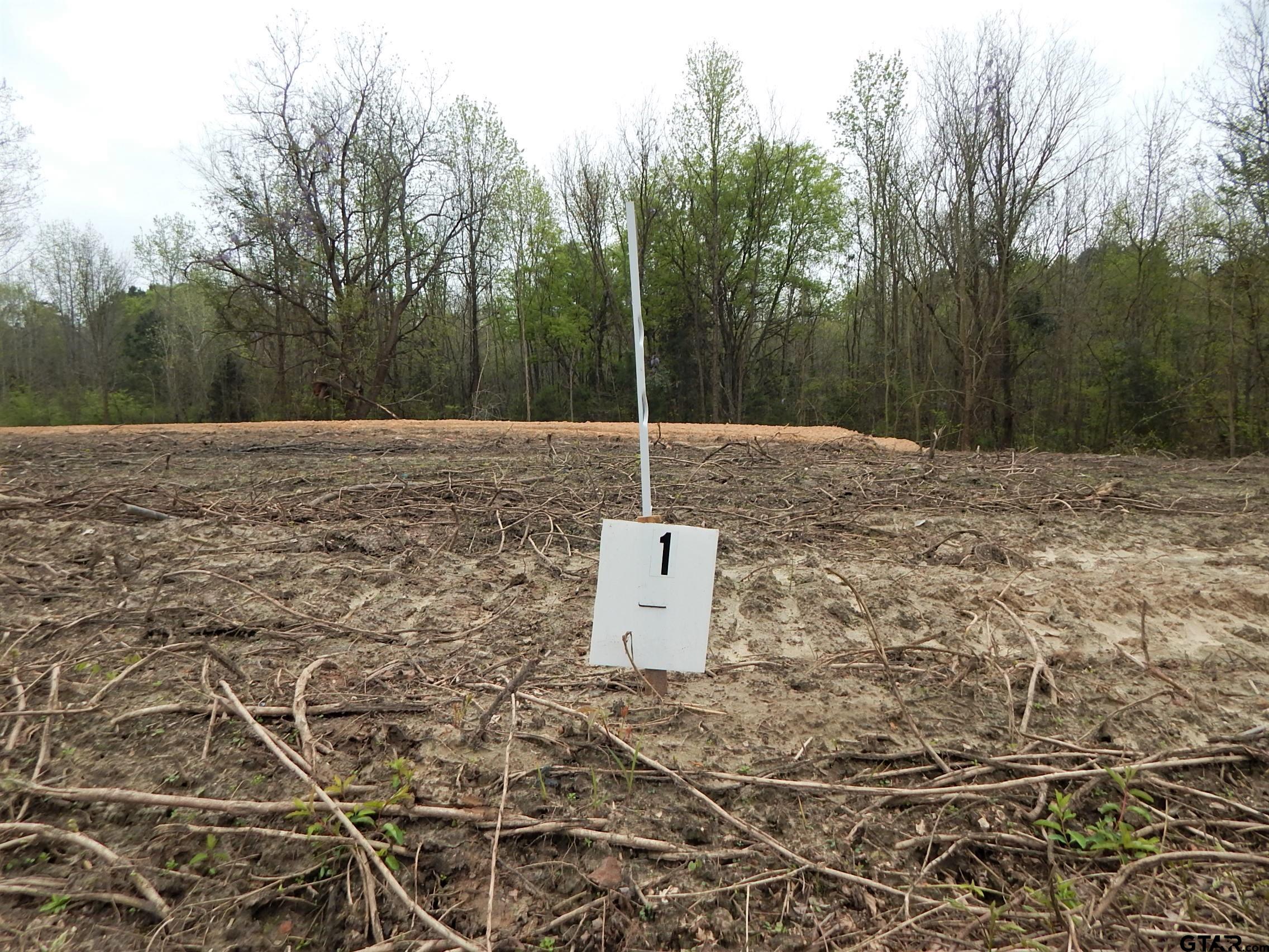 Tbd N State Hwy 155 Tract 1 Property Photo 2
