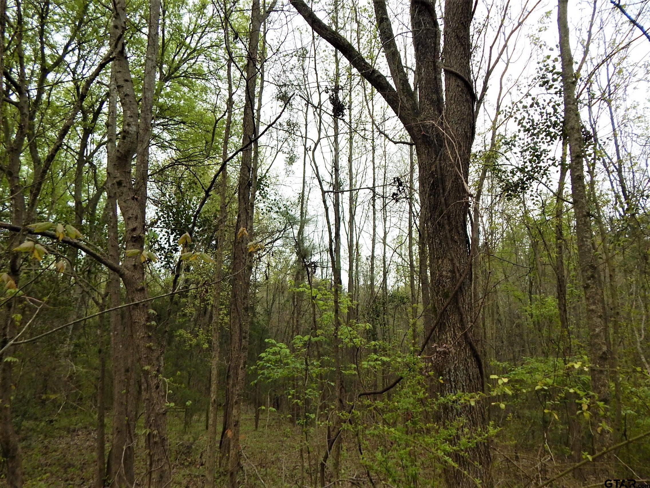 Tbd N State Hwy 155 Tract 1 Property Photo 3