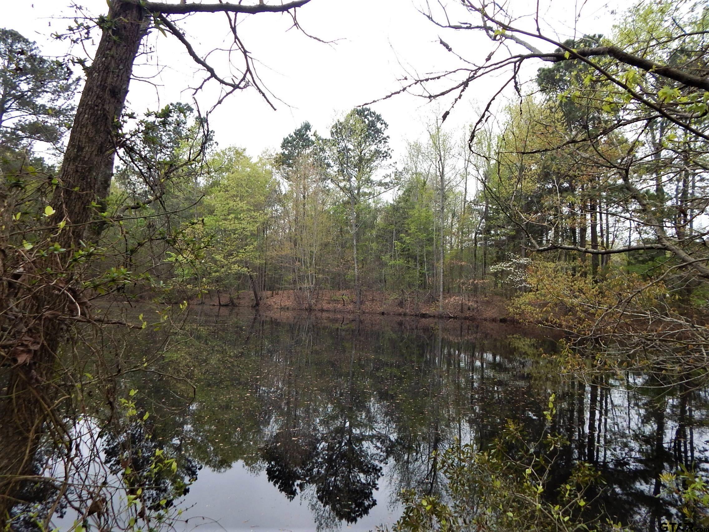 Tbd N State Hwy 155 Tract 1 Property Photo 4