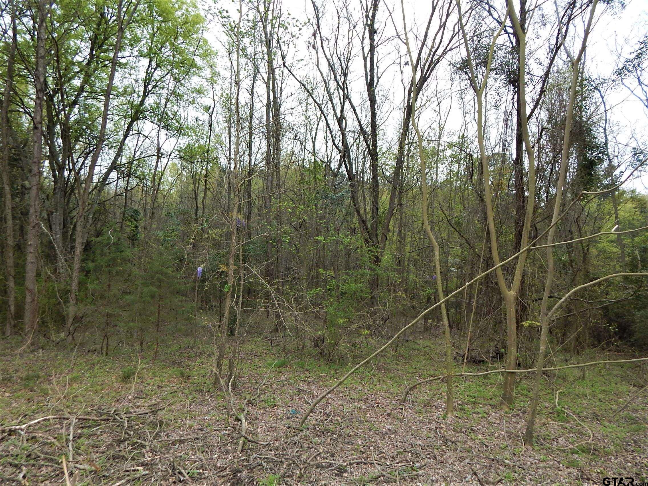 Tbd N State Hwy 155 Tract 1 Property Photo 6