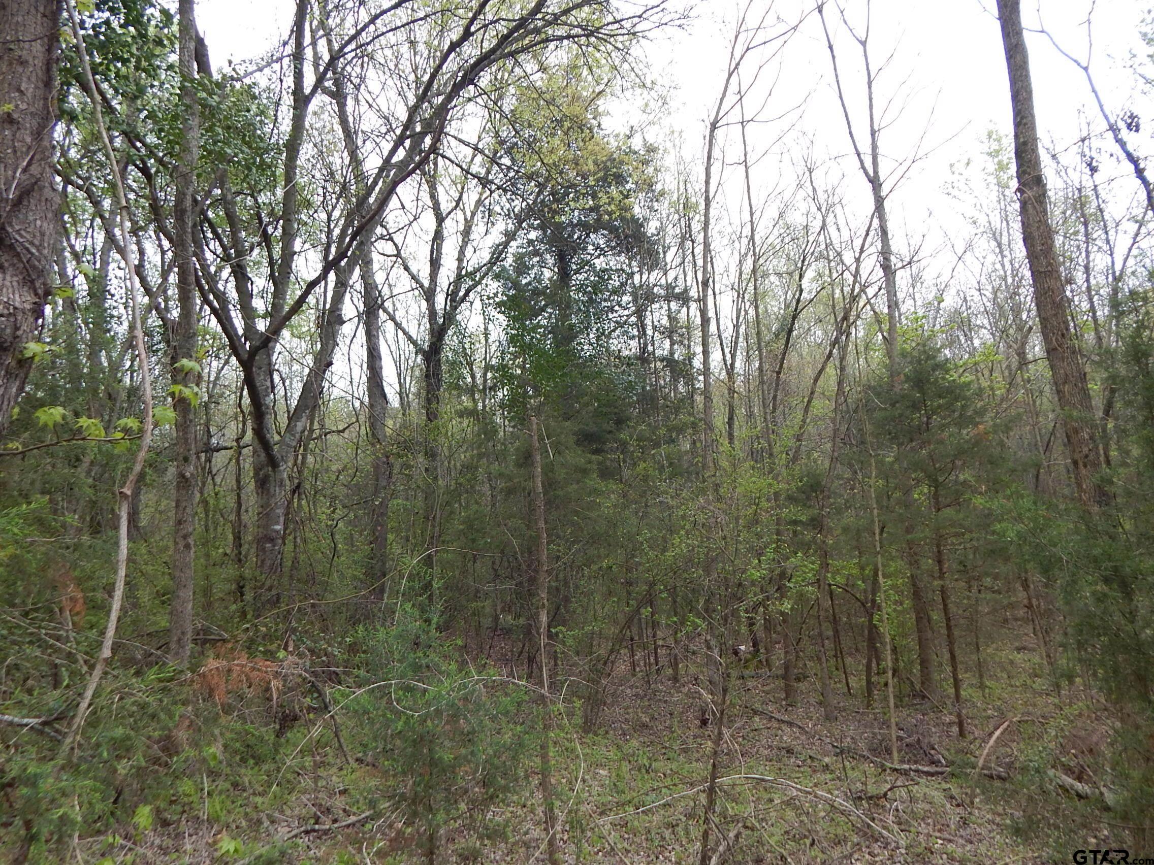 Tbd N State Hwy 155 Tract 1 Property Photo 7