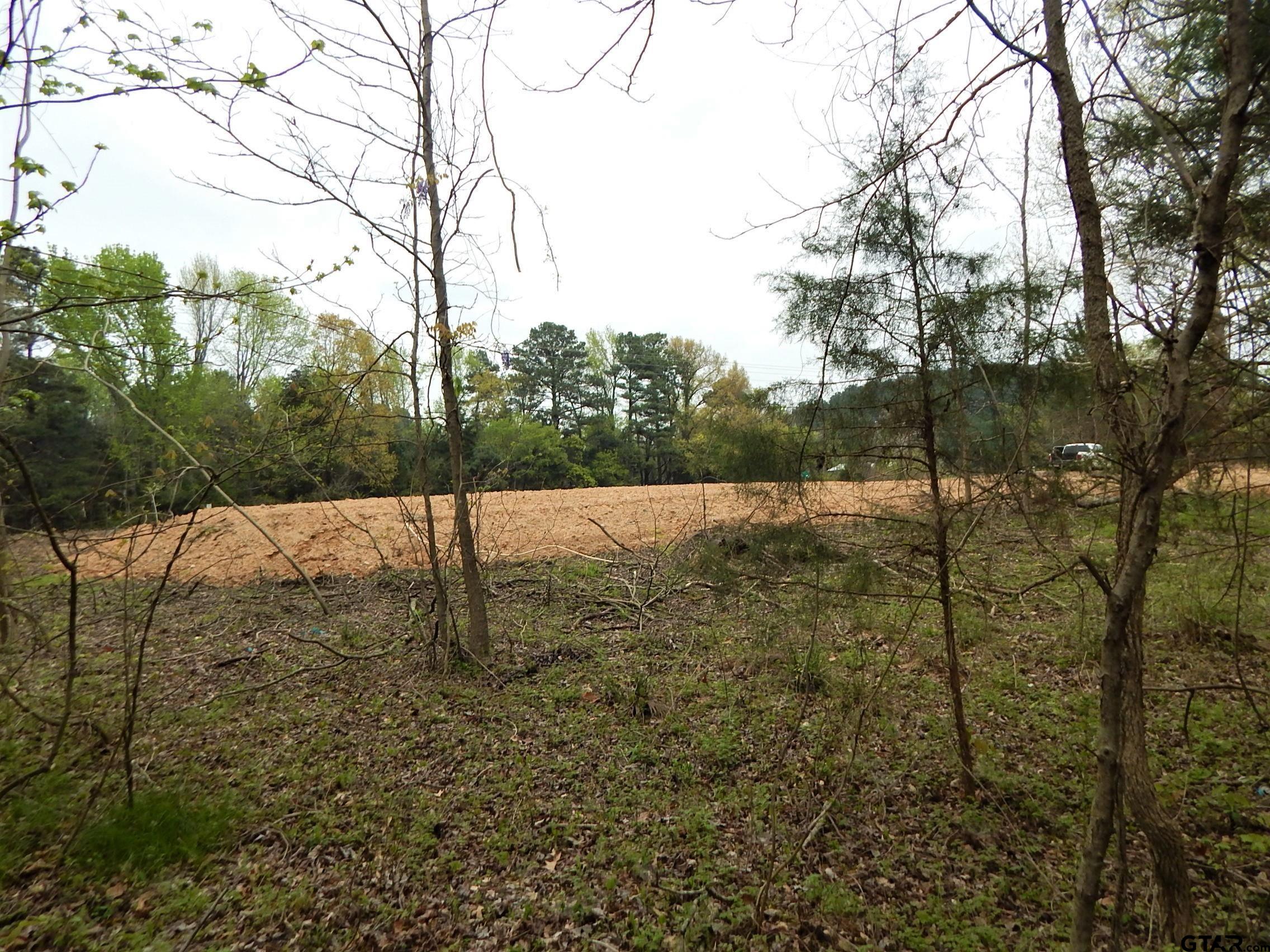 Tbd N State Hwy 155 Tract 1 Property Photo 8
