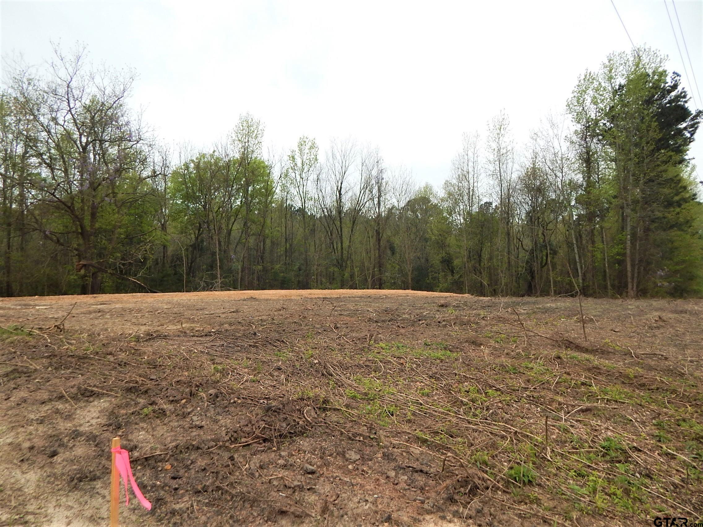 Tbd N State Hwy 155 Tract 1 Property Photo 10