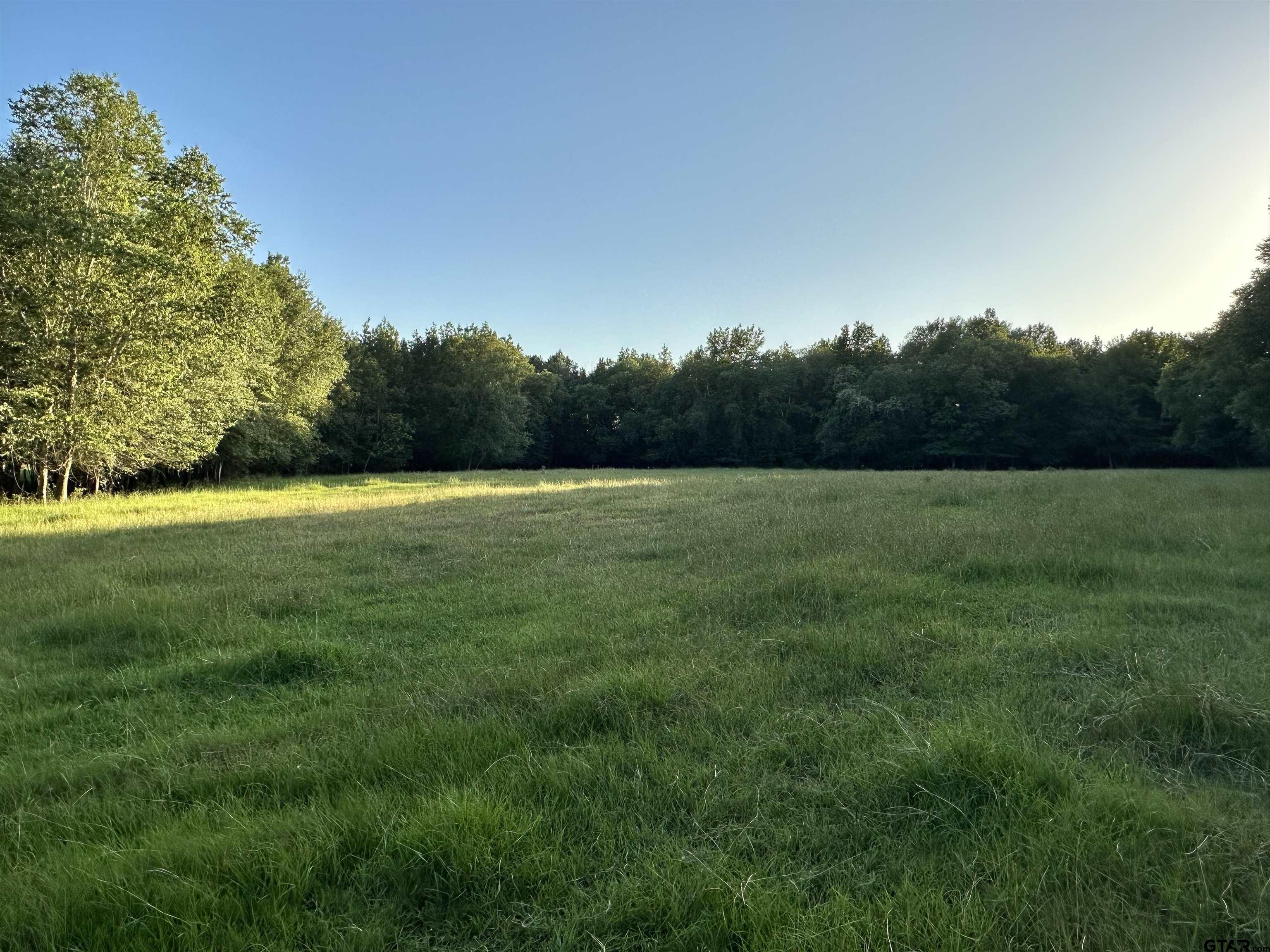 Tbd An County Road 320 Property Photo 3