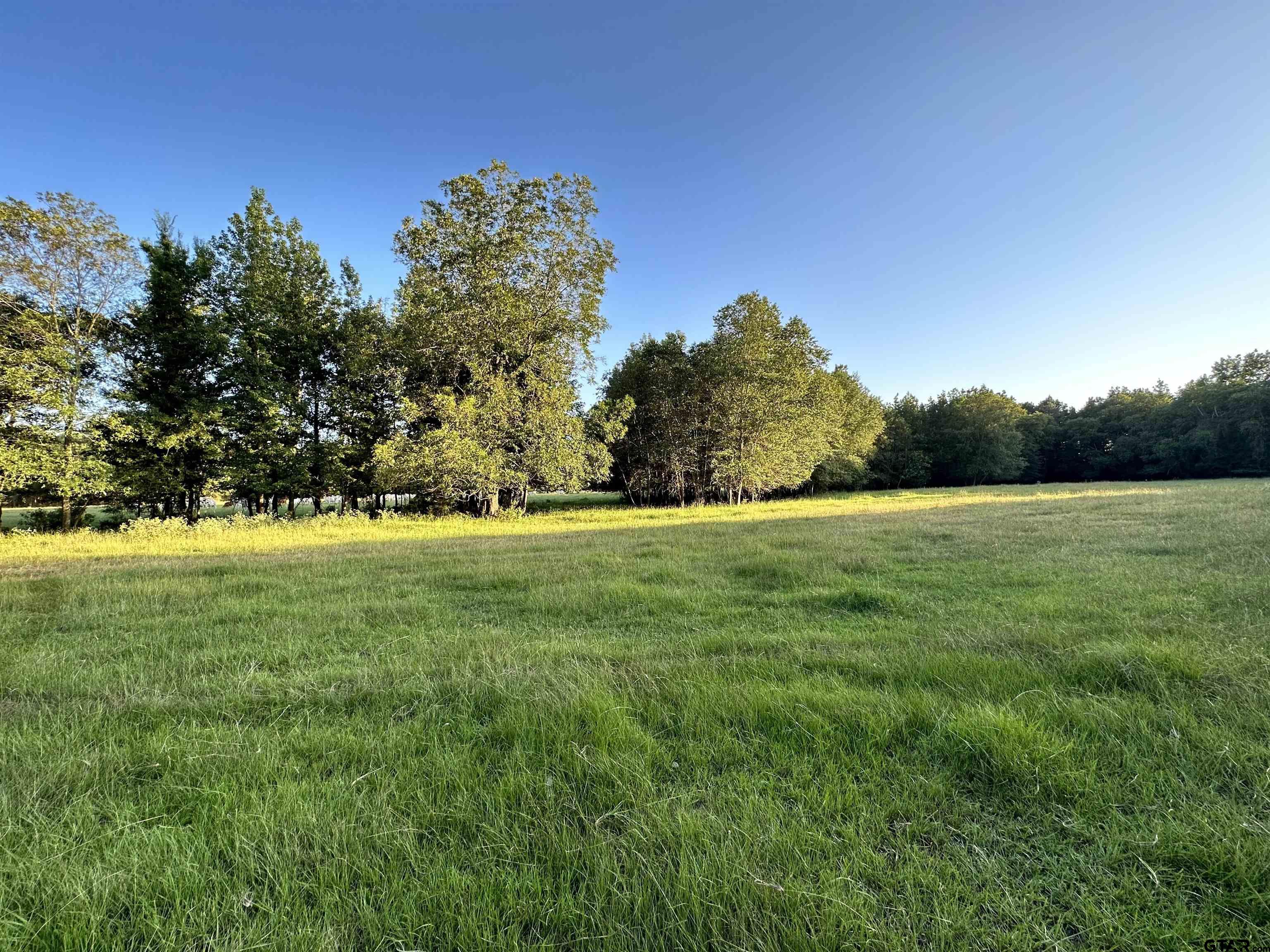 Tbd An County Road 320 Property Photo 4