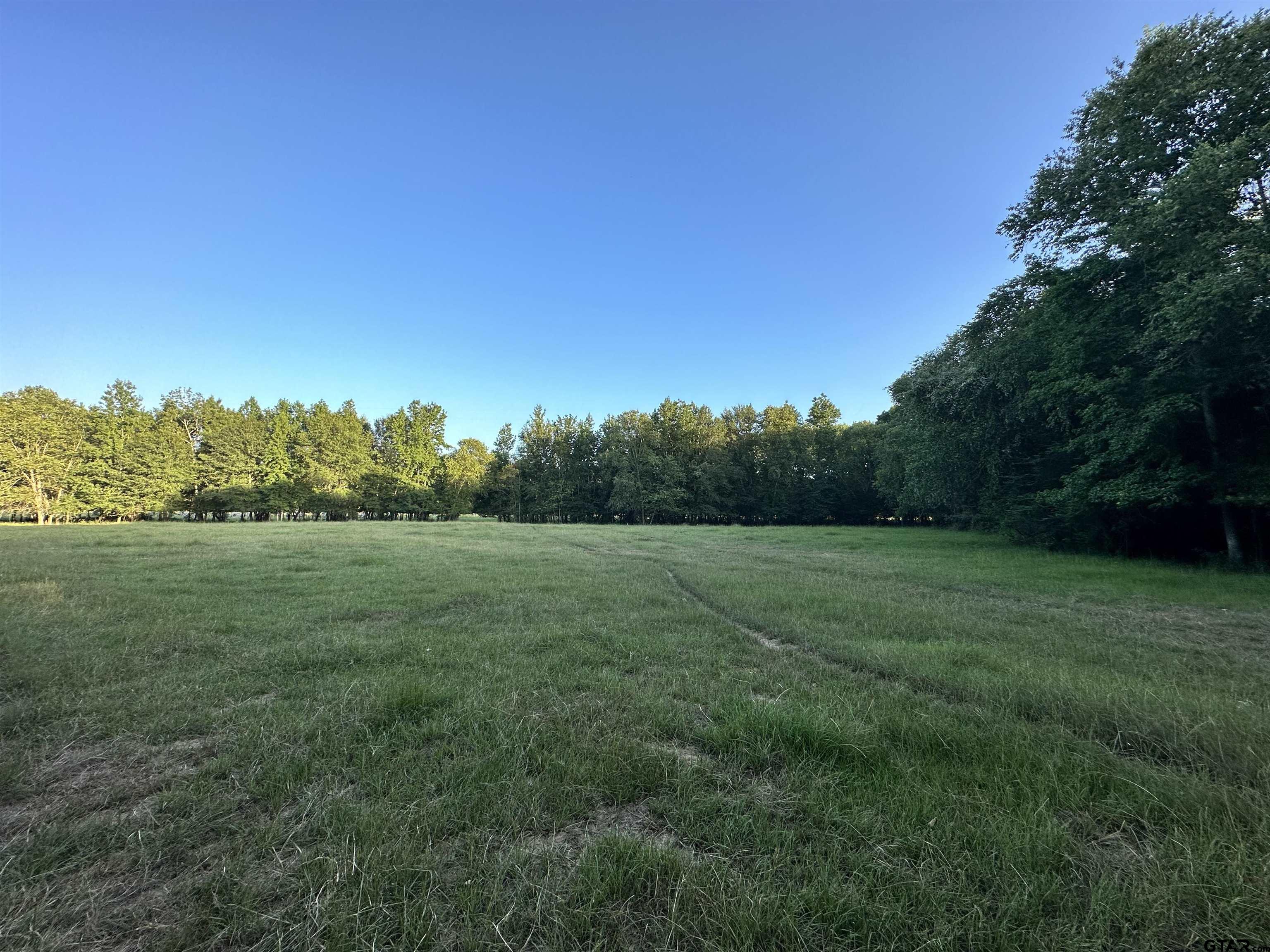 Tbd An County Road 320 Property Photo 8
