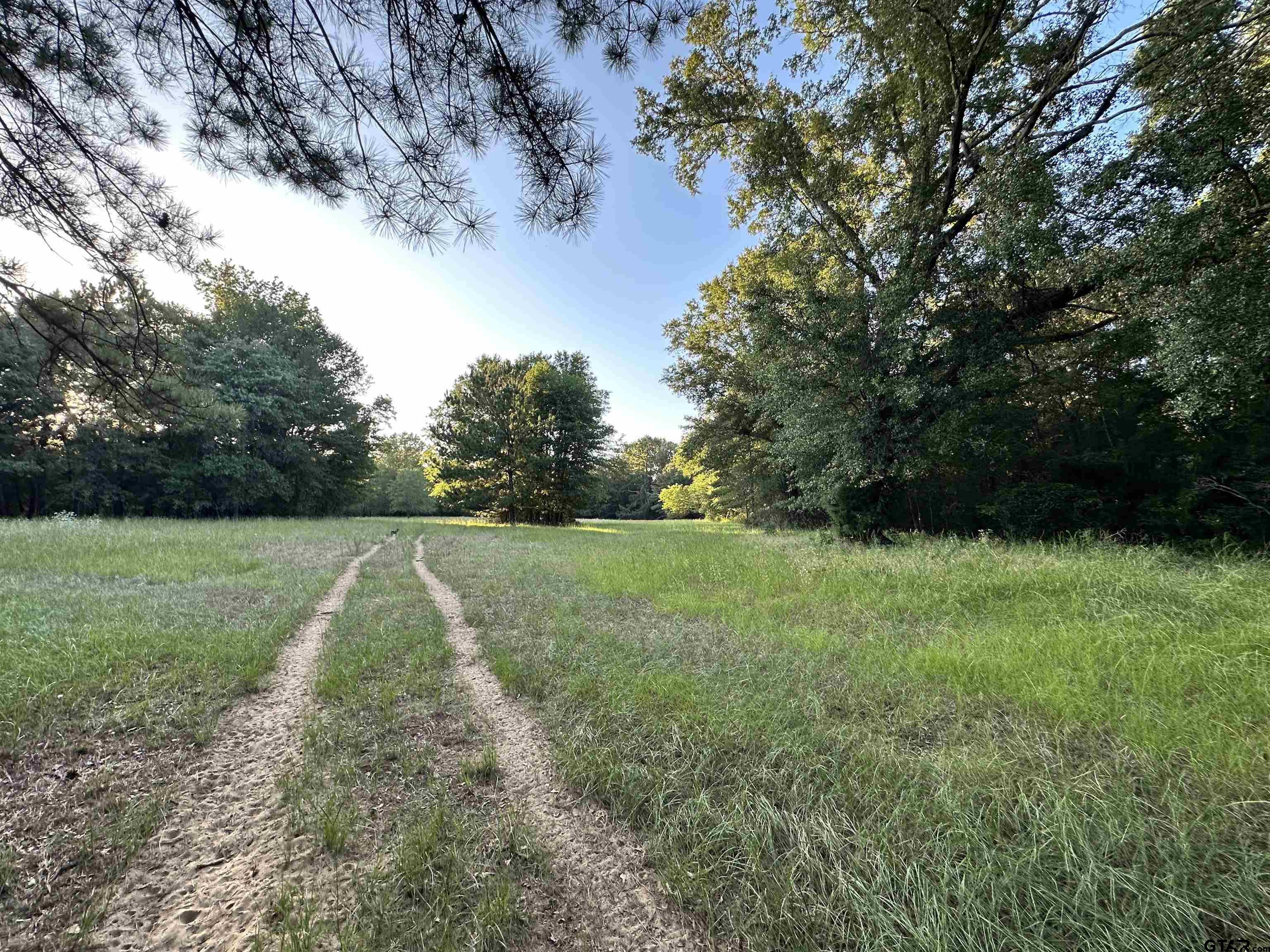Tbd An County Road 320 Property Photo 10