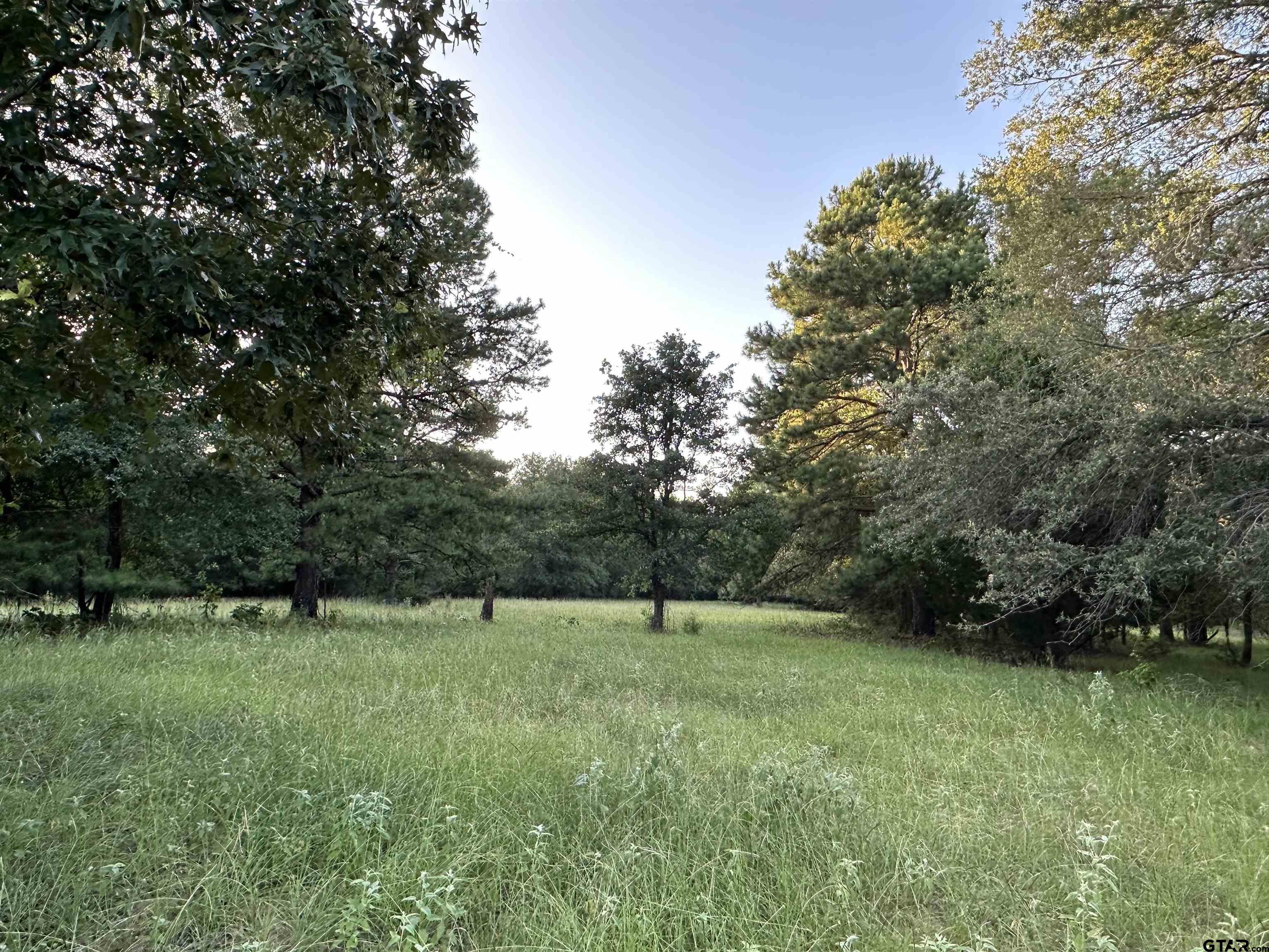 Tbd An County Road 320 Property Photo 11