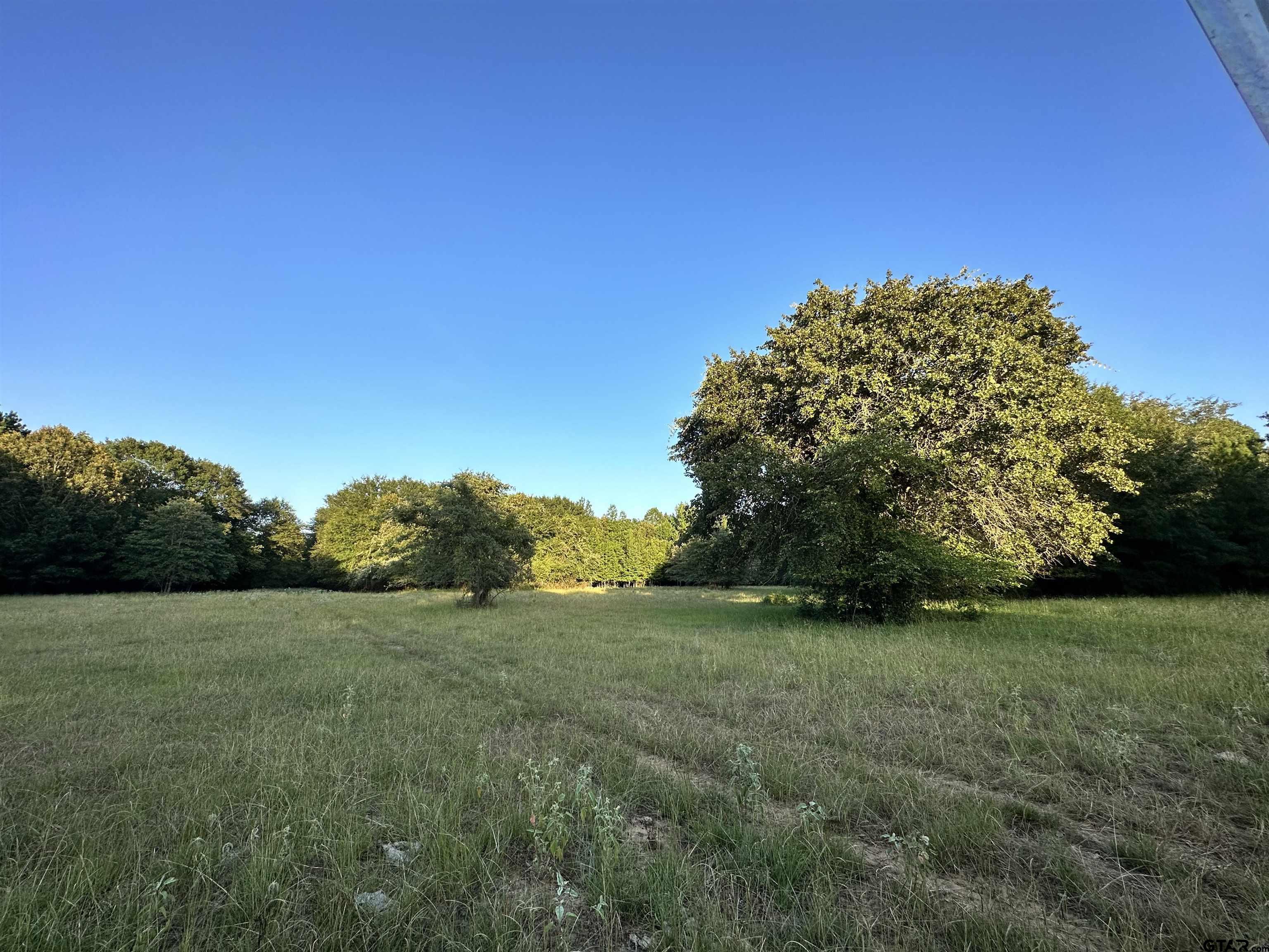 Tbd An County Road 320 Property Photo 12