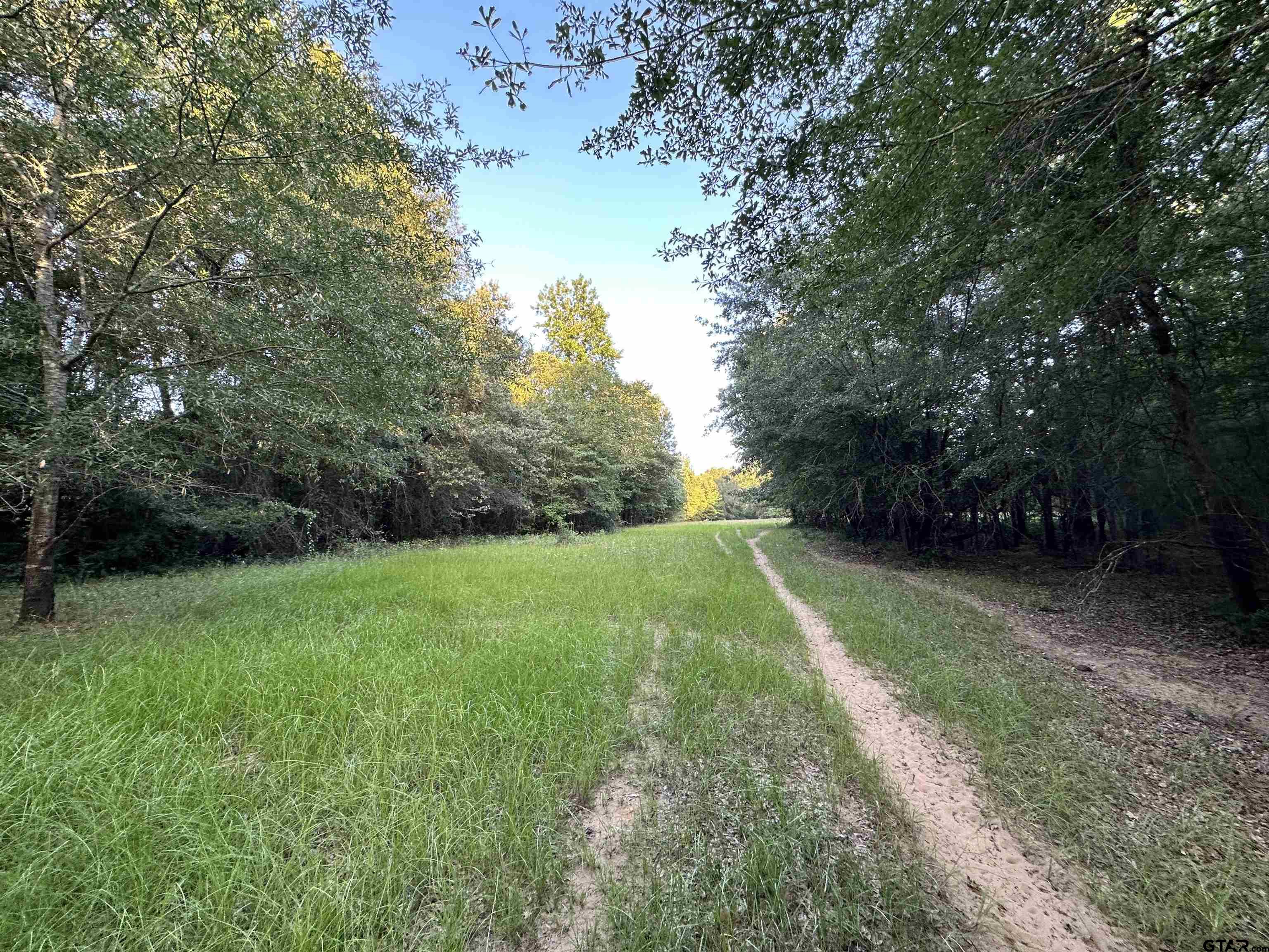 Tbd An County Road 320 Property Photo 13