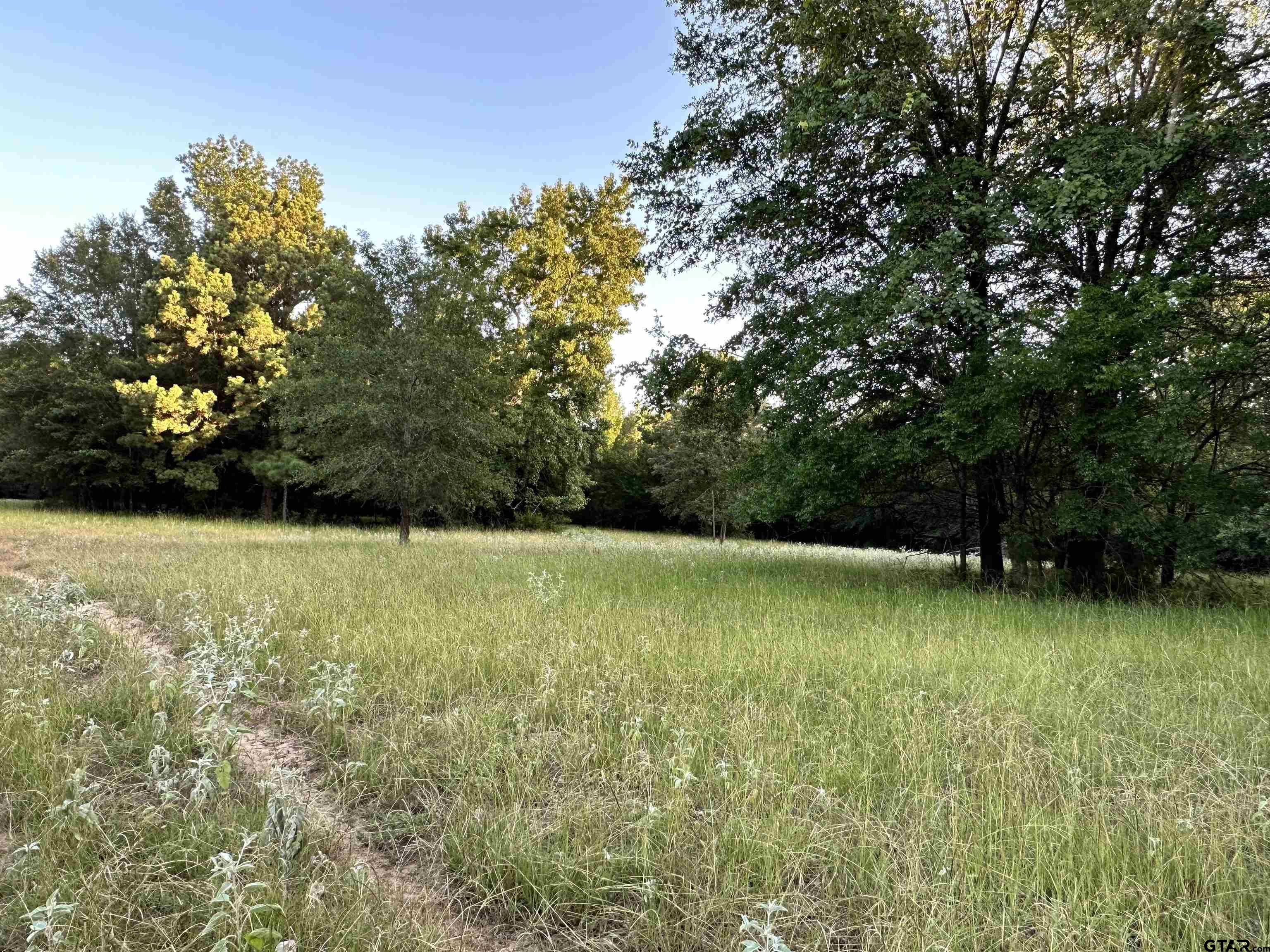Tbd An County Road 320 Property Photo 14