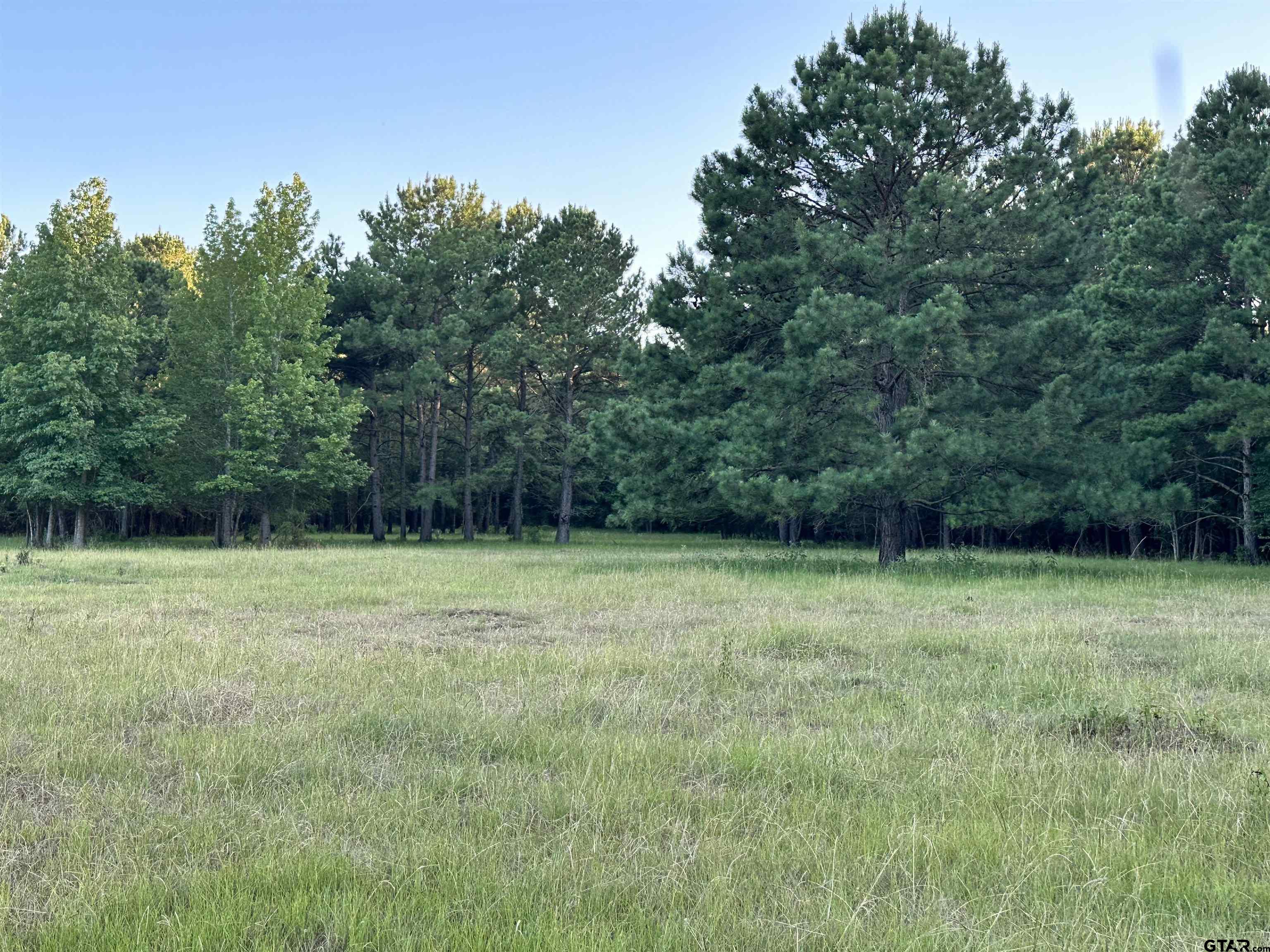 Tbd An County Road 320 Property Photo 15