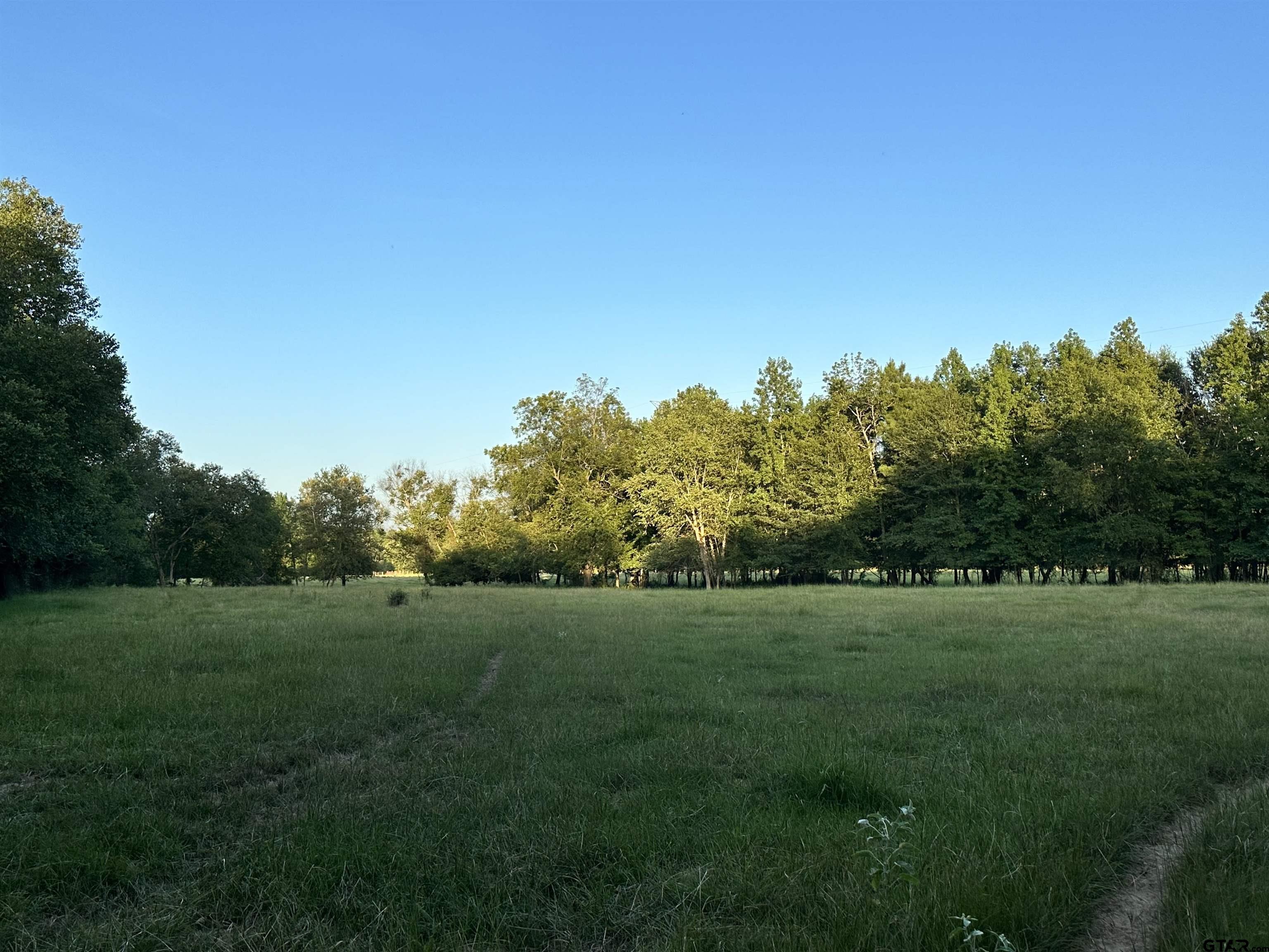 Tbd An County Road 320 Property Photo 18