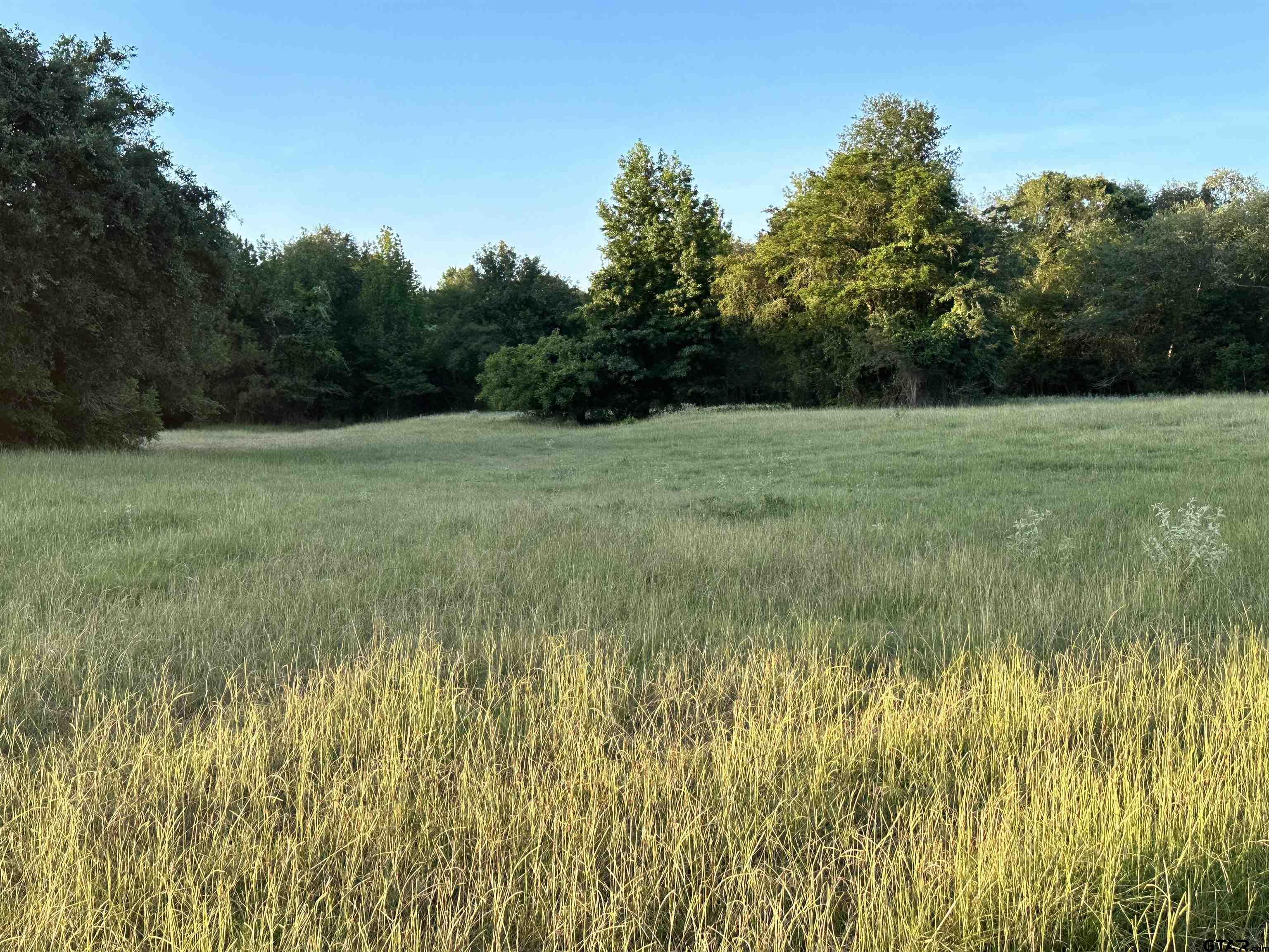 Tbd An County Road 320 Property Photo 20