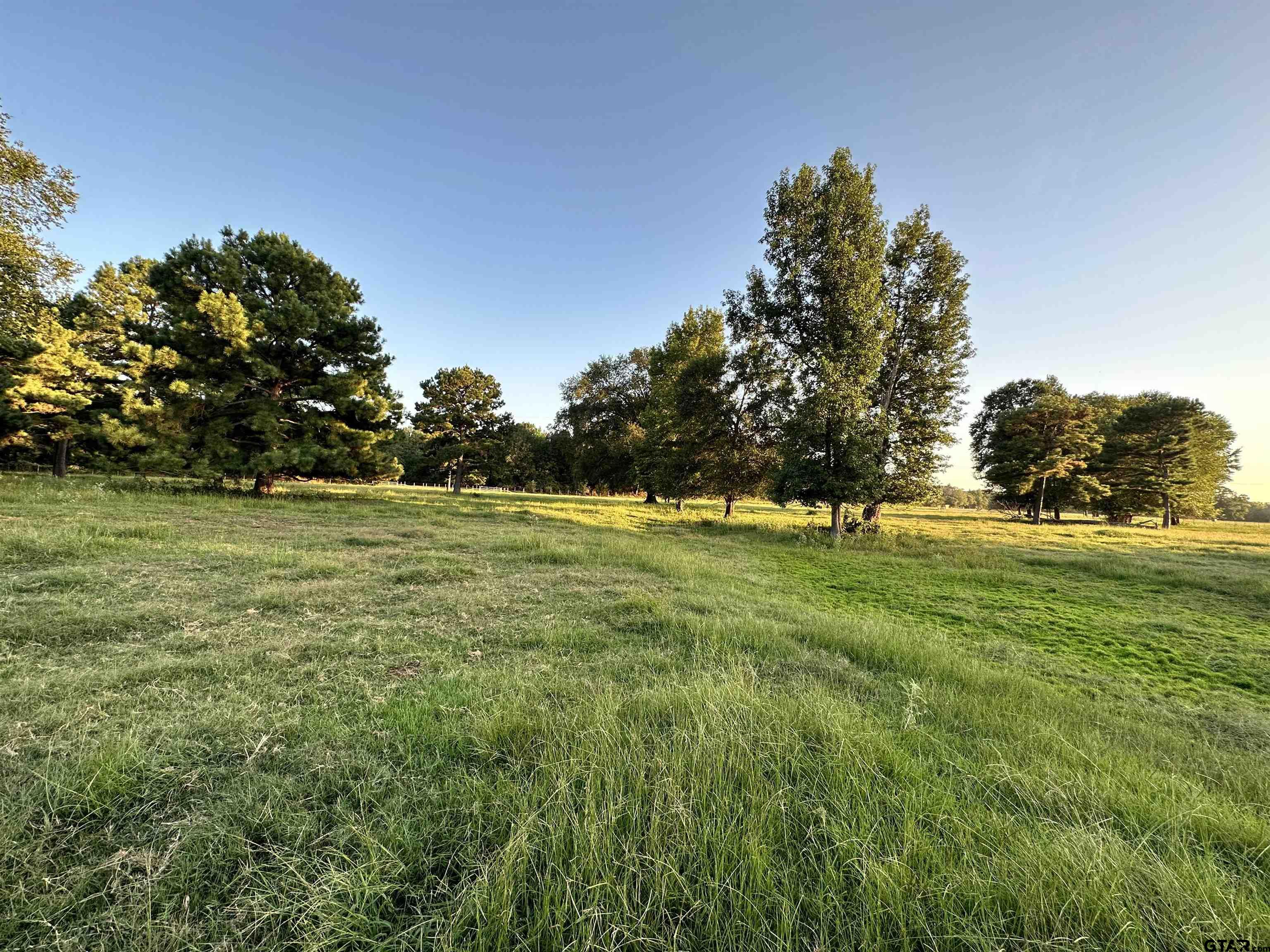 Tbd An County Road 320 Property Photo 22