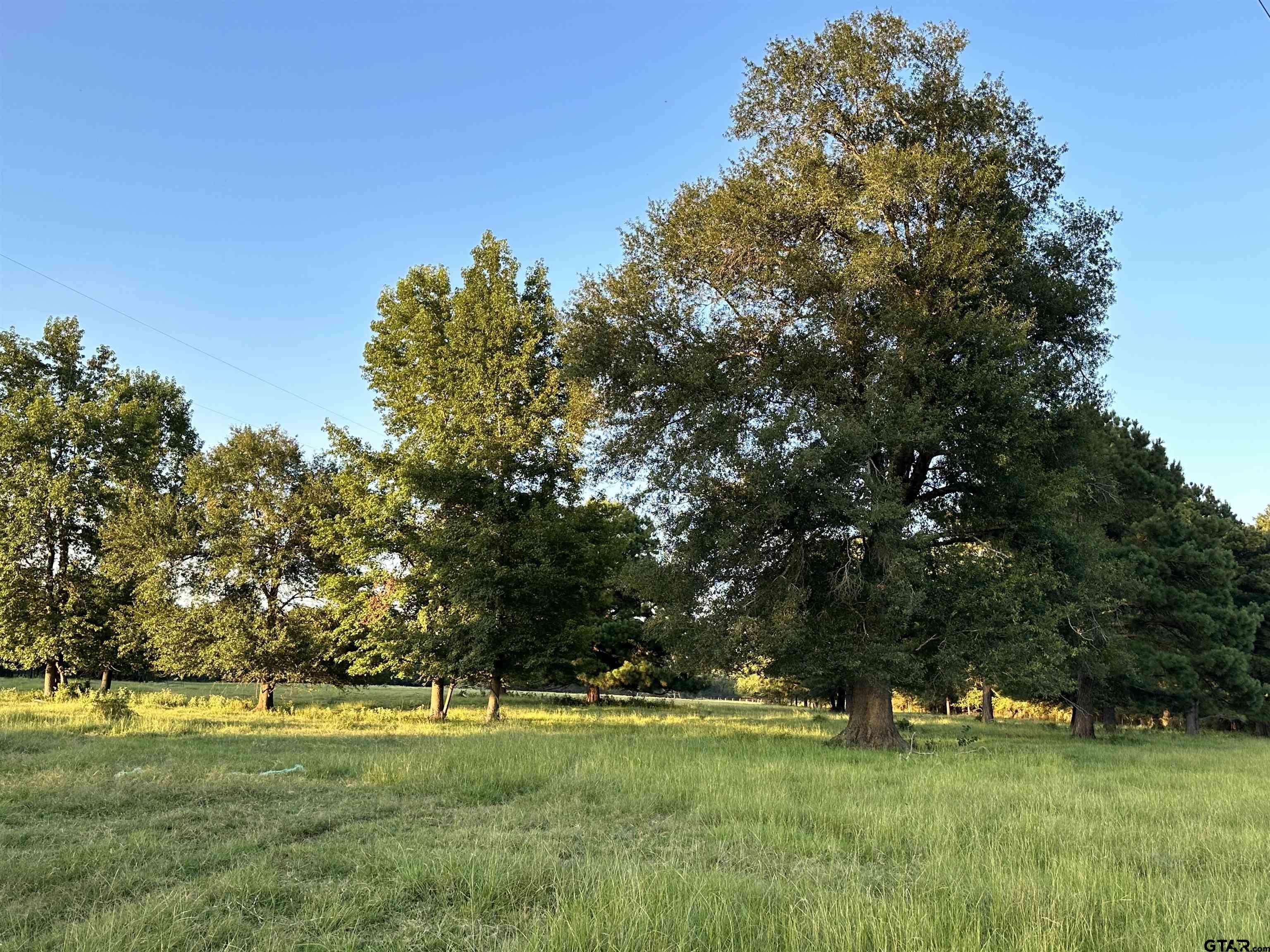 Tbd An County Road 320 Property Photo 23