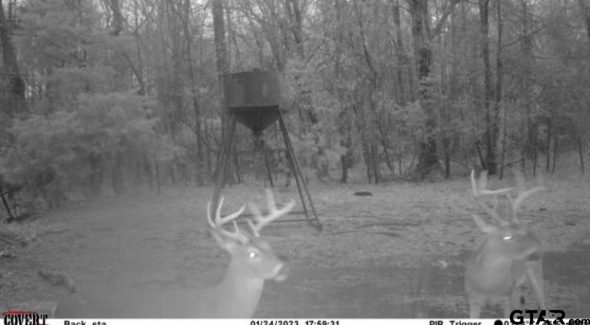 Tbd An County Road 320 Property Photo 31