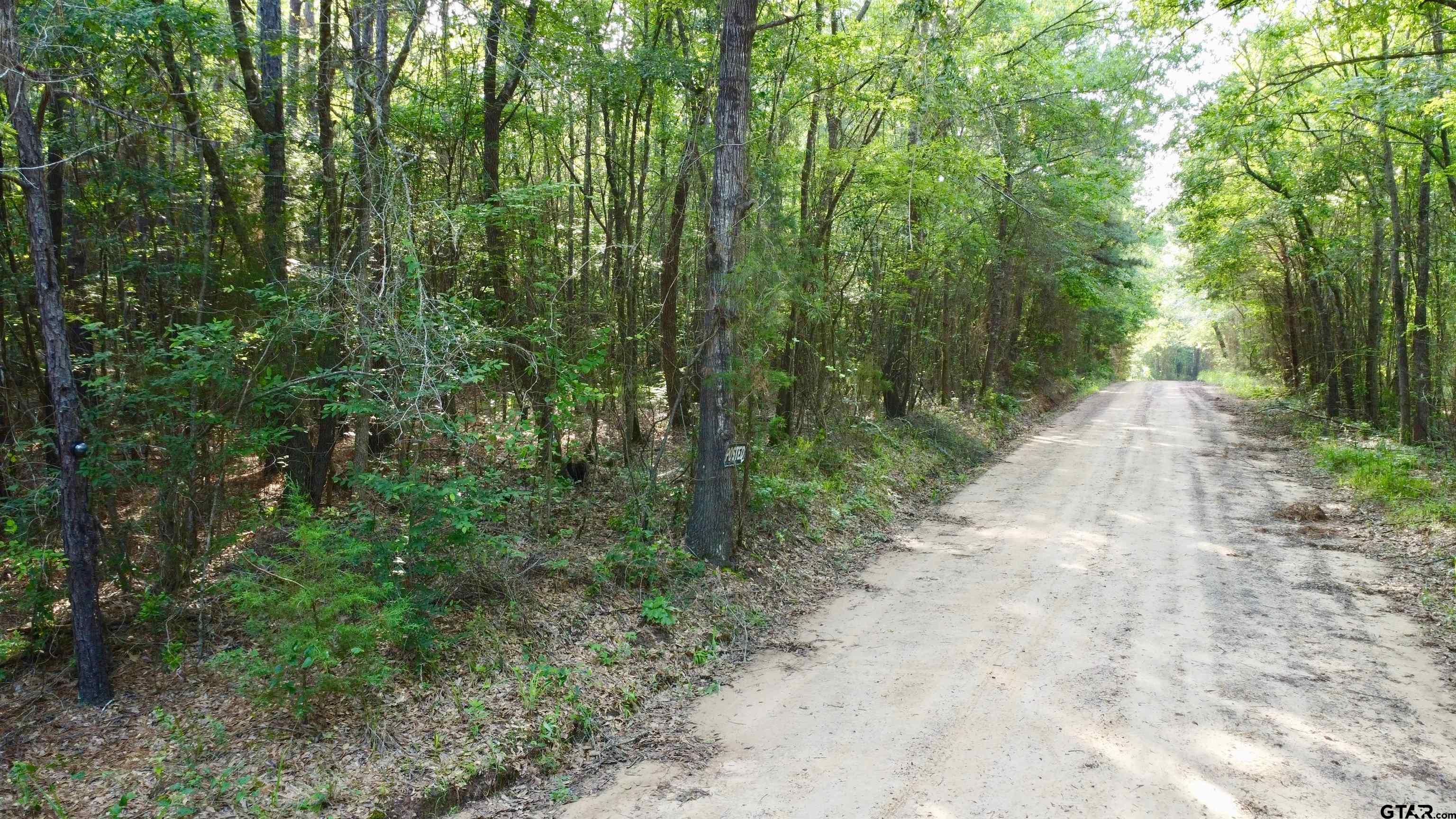 Tract 1 County Road 1120 Property Photo