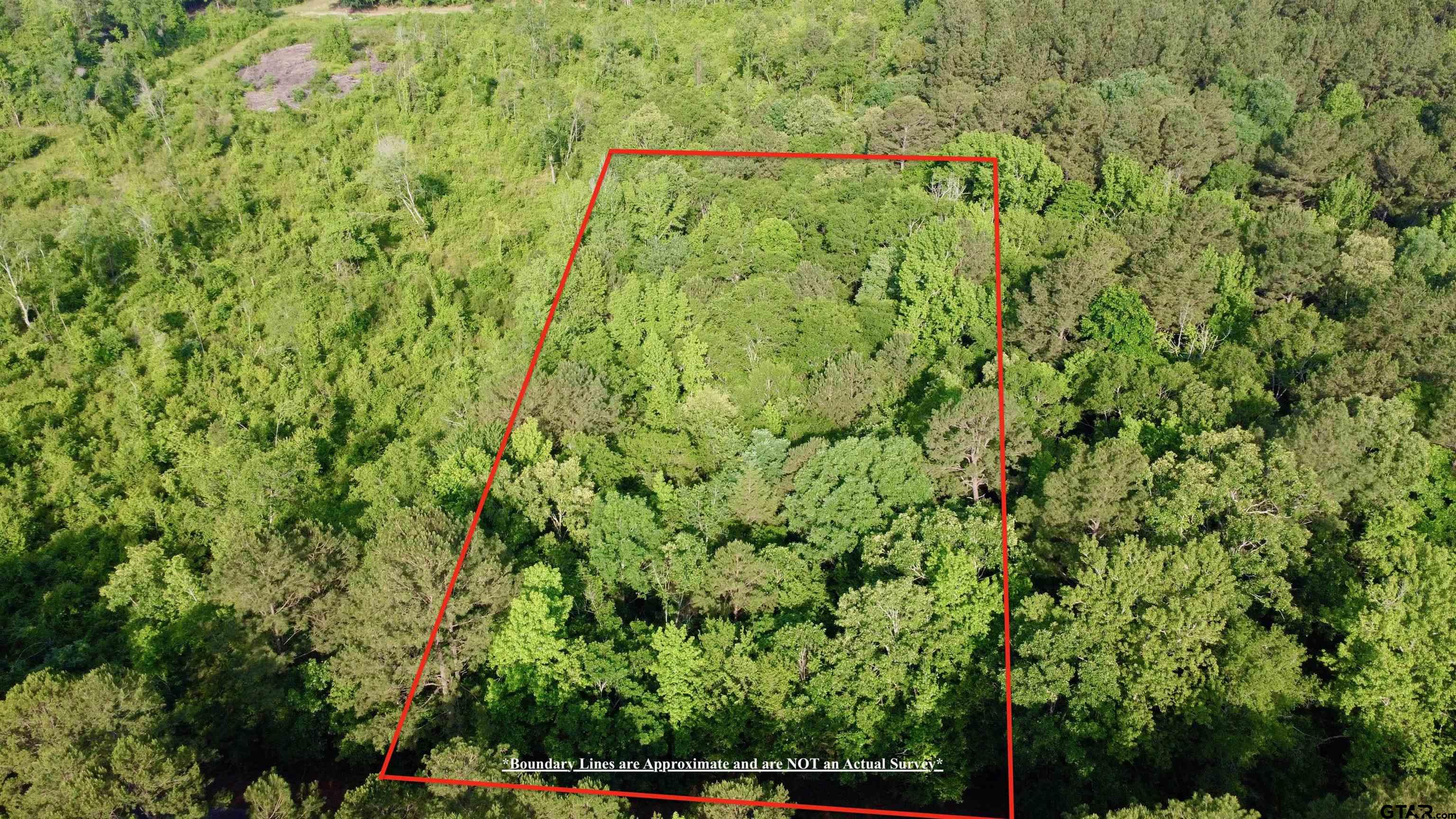 Tbd County Road 1118 Property Photo 2