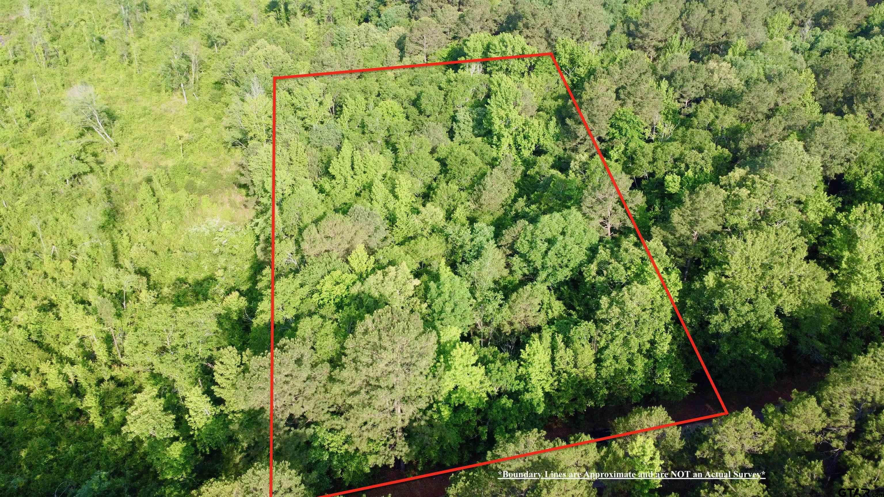 Tbd County Road 1118 Property Photo 4