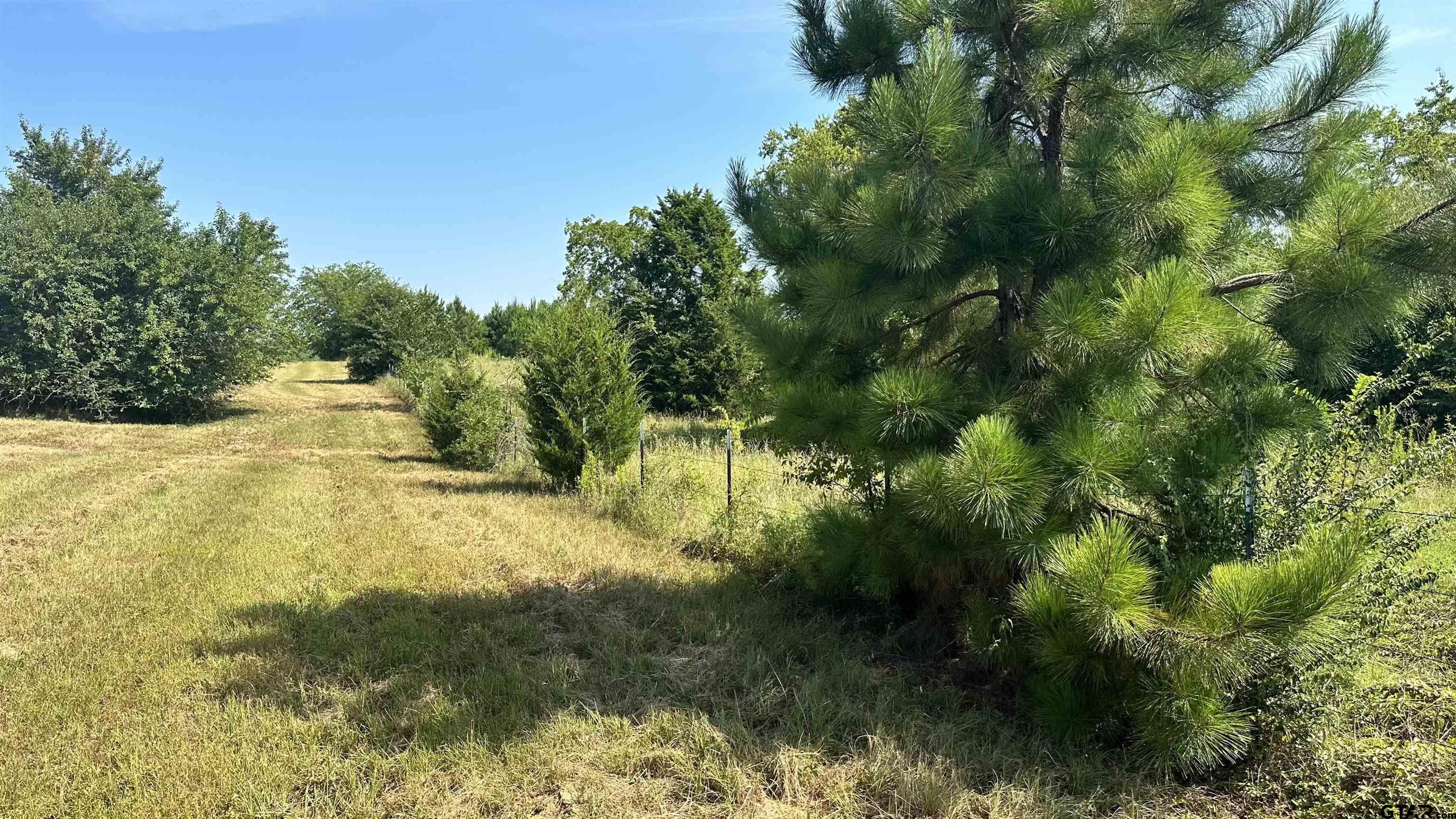 16190 Old New Harmony Rd Property Photo 2