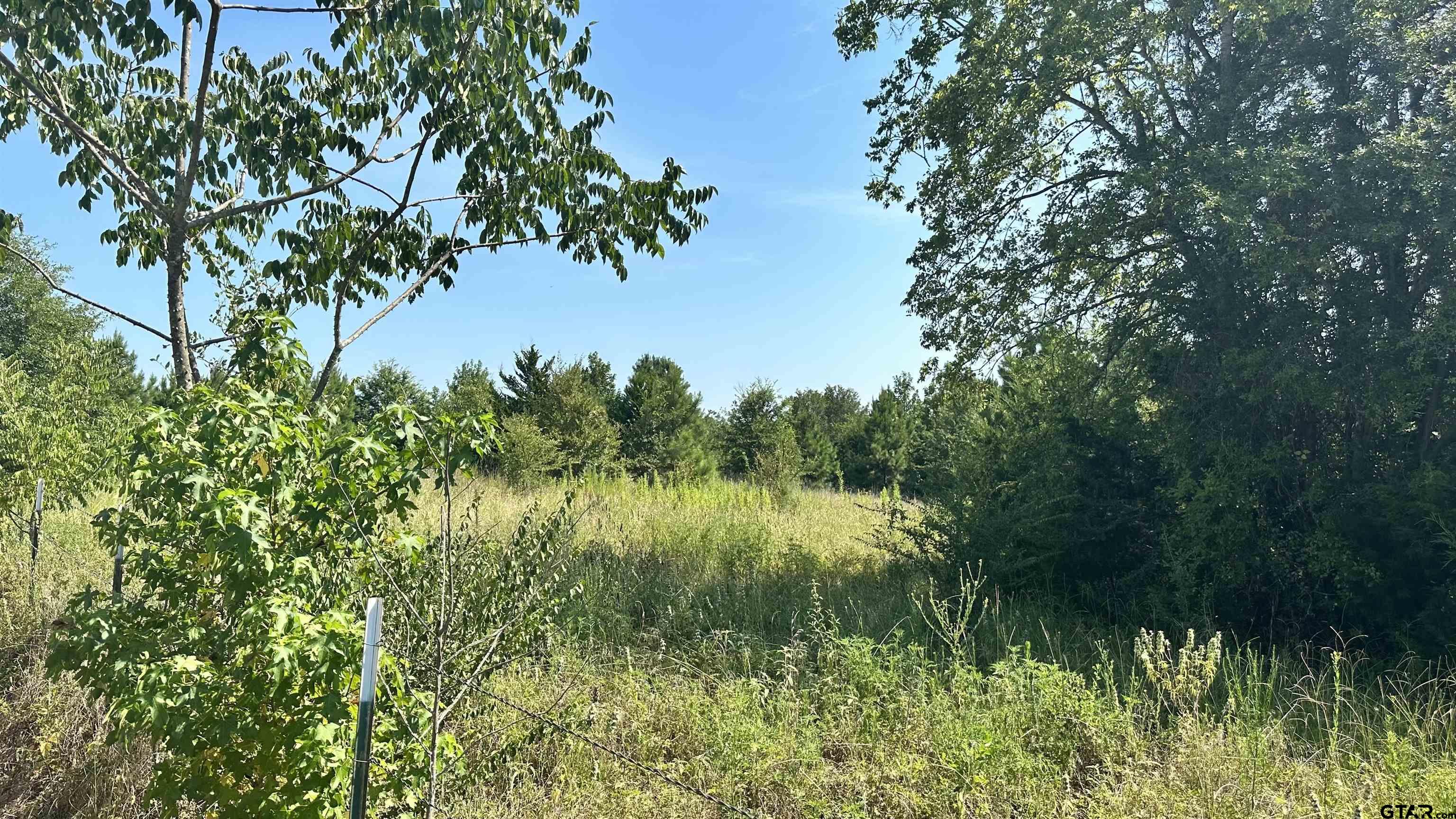 16190 Old New Harmony Rd Property Photo 3