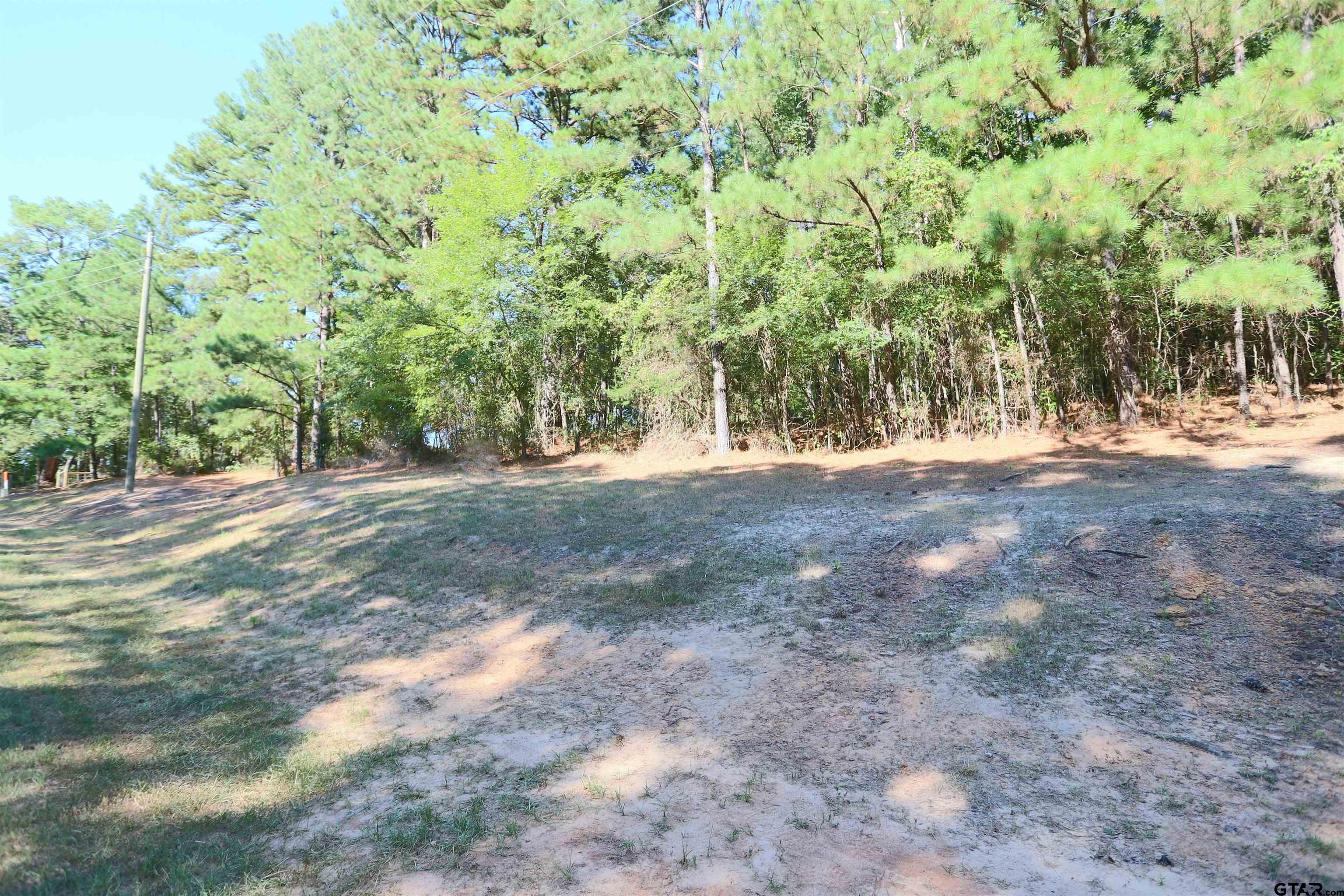 Tbd An County Rd 370 Property Photo 1