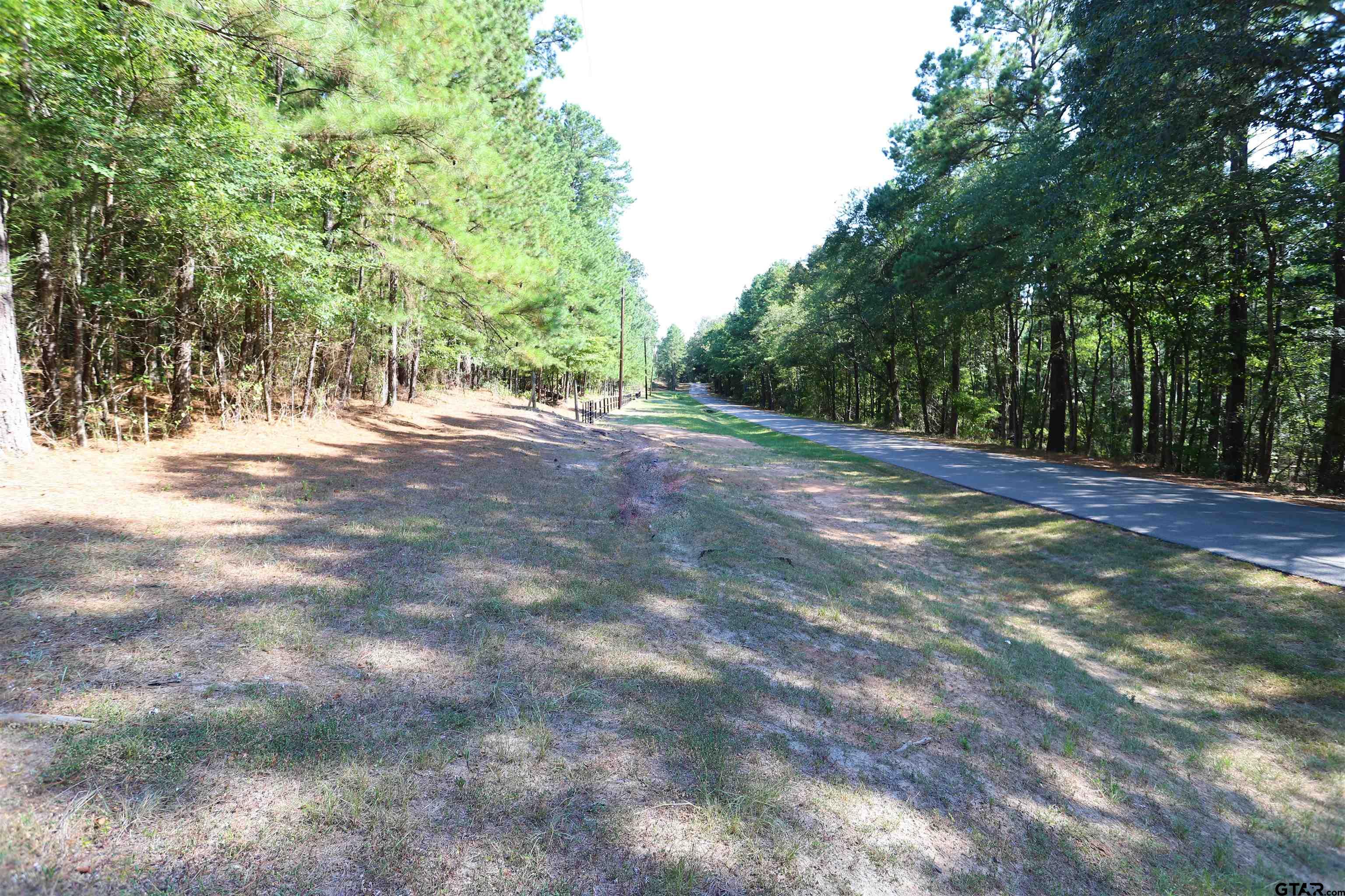 Tbd An County Rd 370 Property Photo 2
