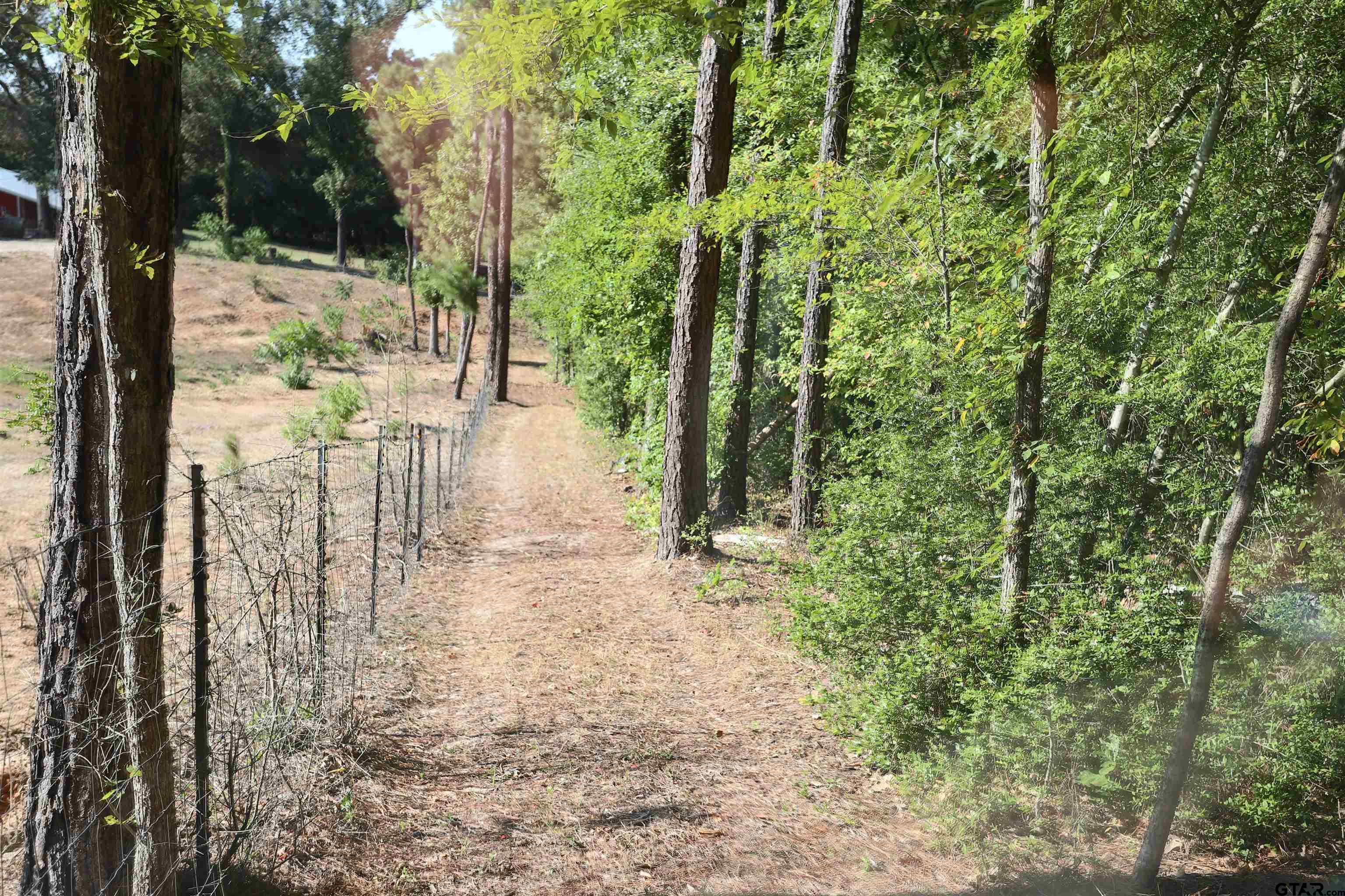 Tbd An County Rd 370 Property Photo 5