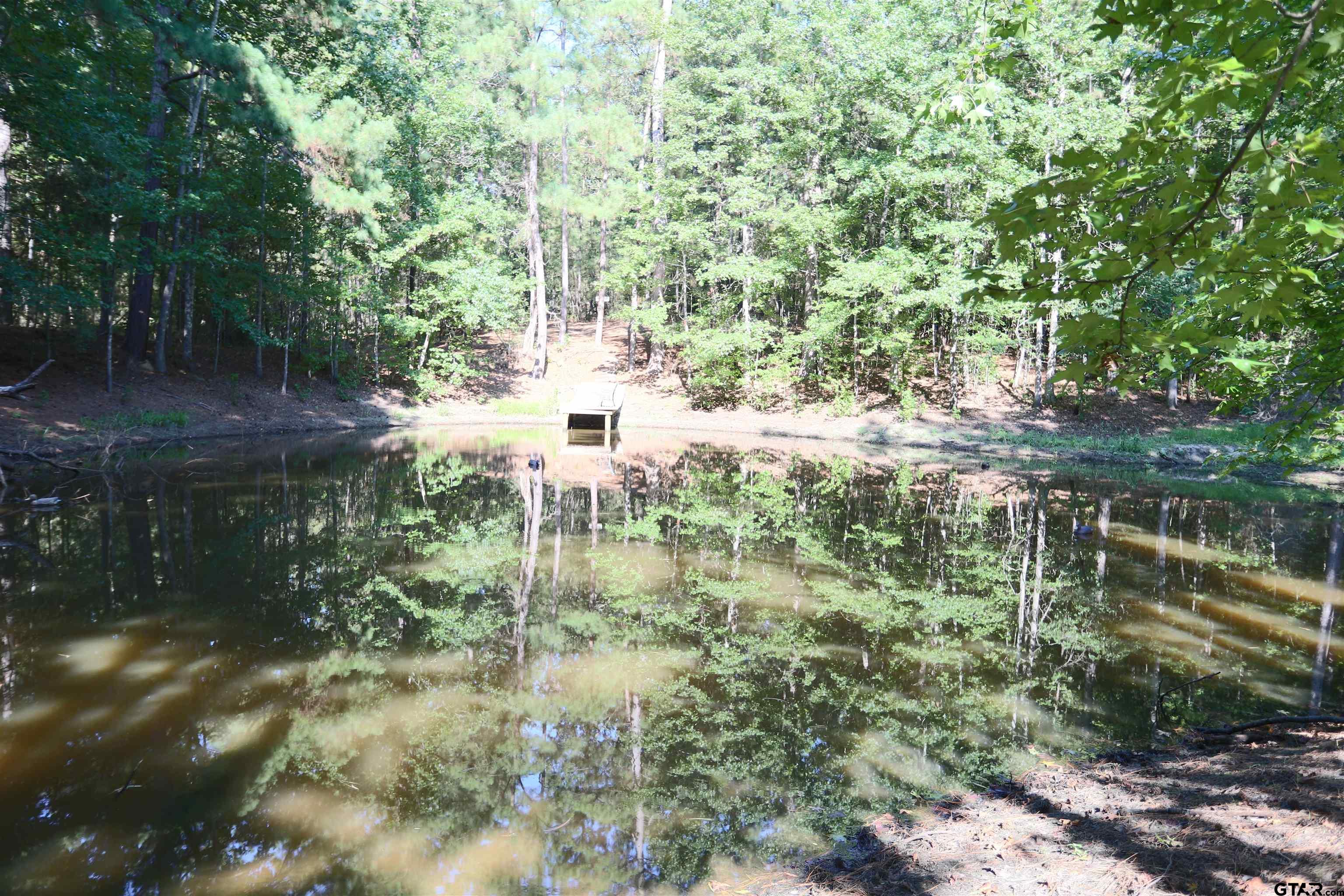 Tbd An County Rd 370 Property Photo 6