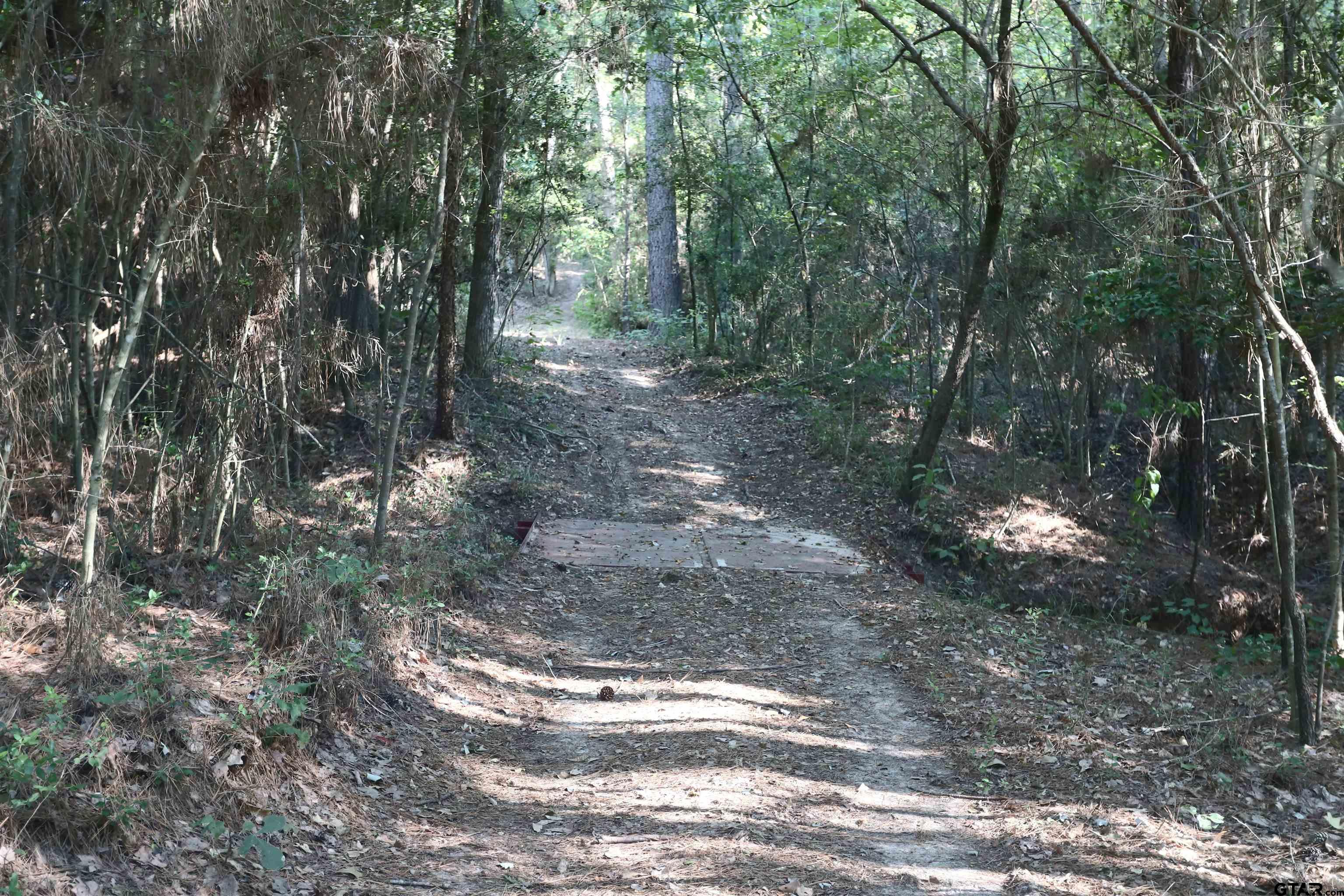 Tbd An County Rd 370 Property Photo 7