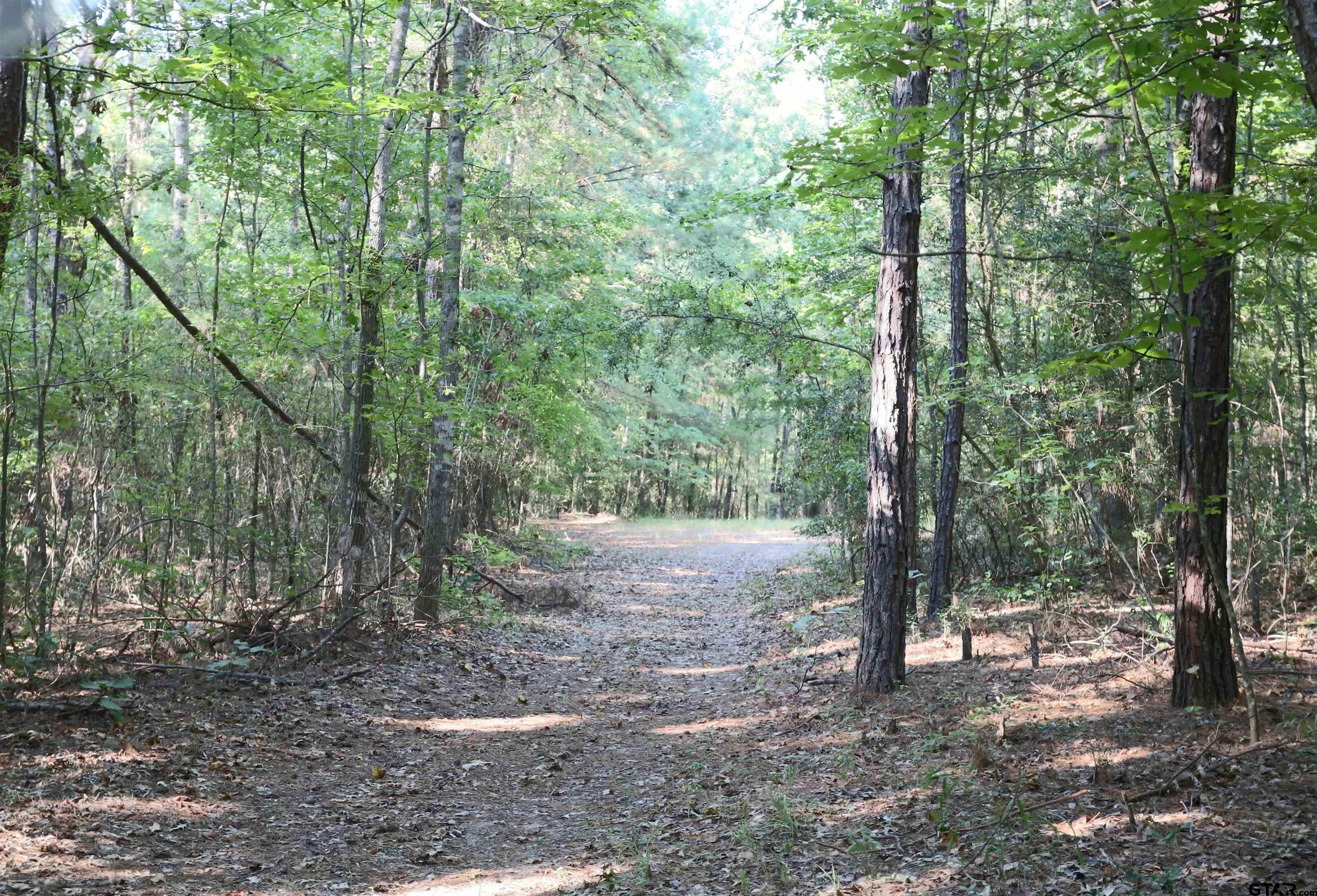 Tbd An County Rd 370 Property Photo 8
