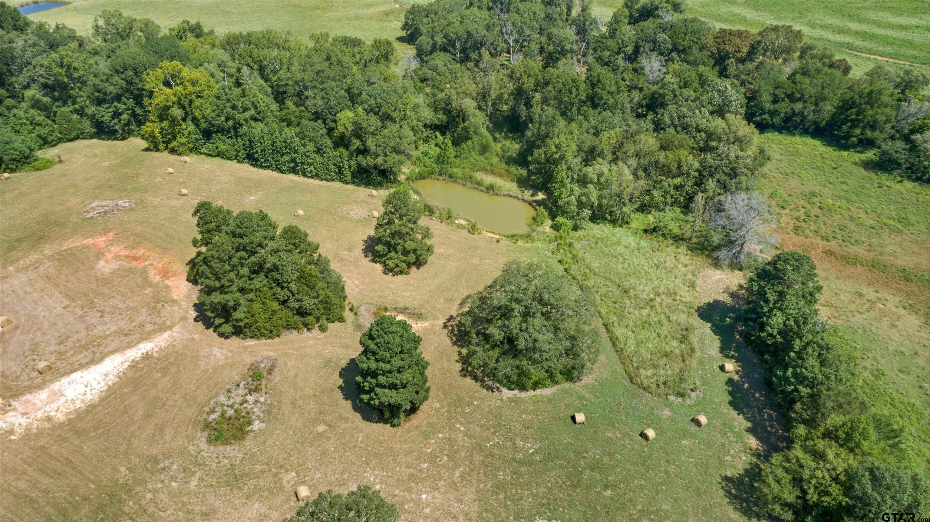 4111 E State Hwy 204 Property Photo 2
