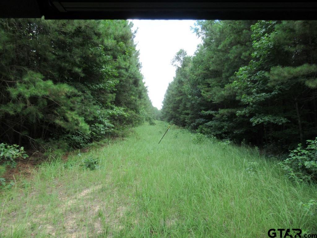 102 Ac Cr 438 Property Photo 4