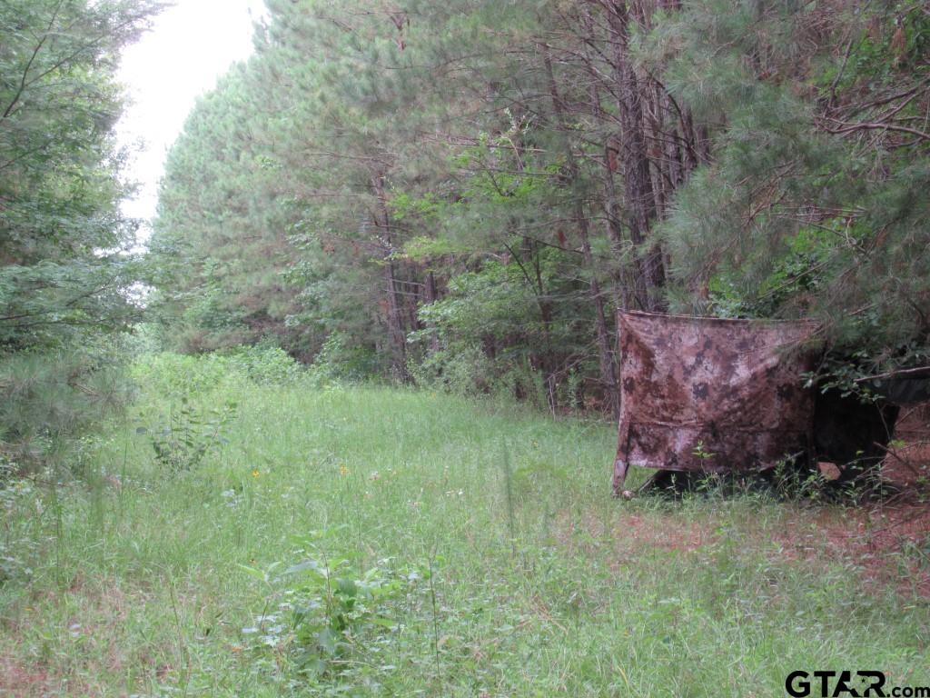 102 Ac Cr 438 Property Photo 5