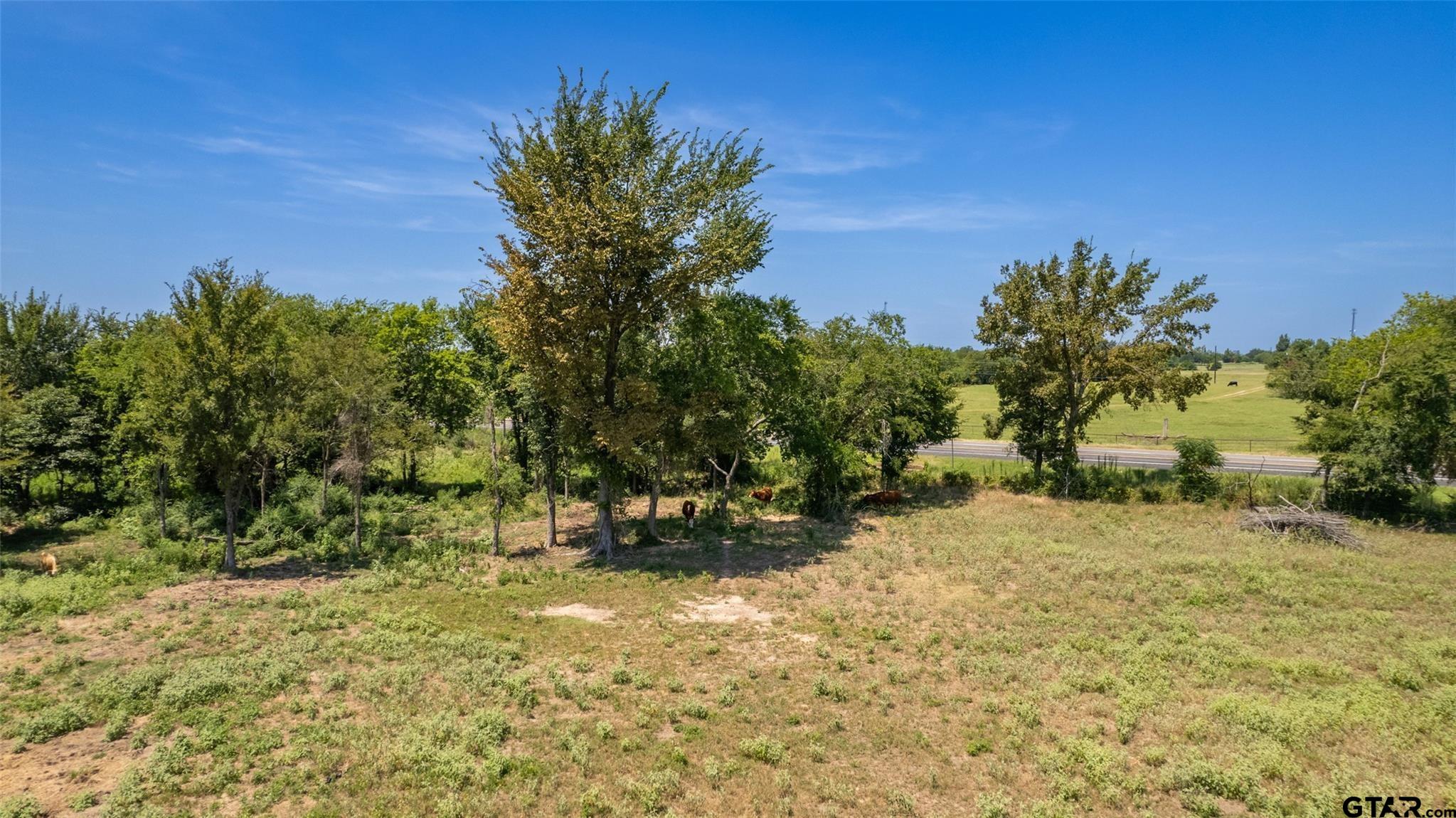 15 Acres State Hwy 19 Property Photo 1