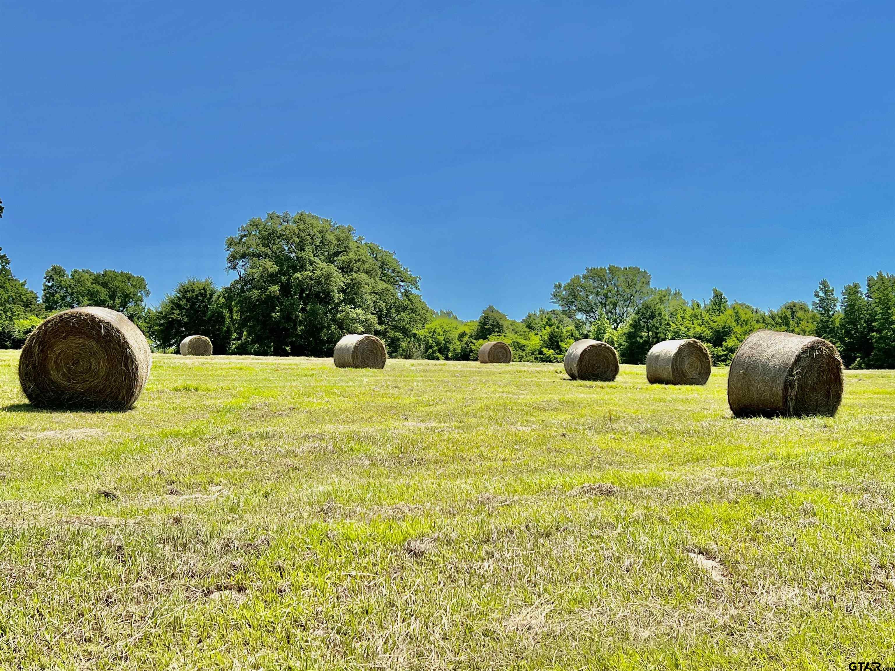 22892 Cr 251 Property Photo 38
