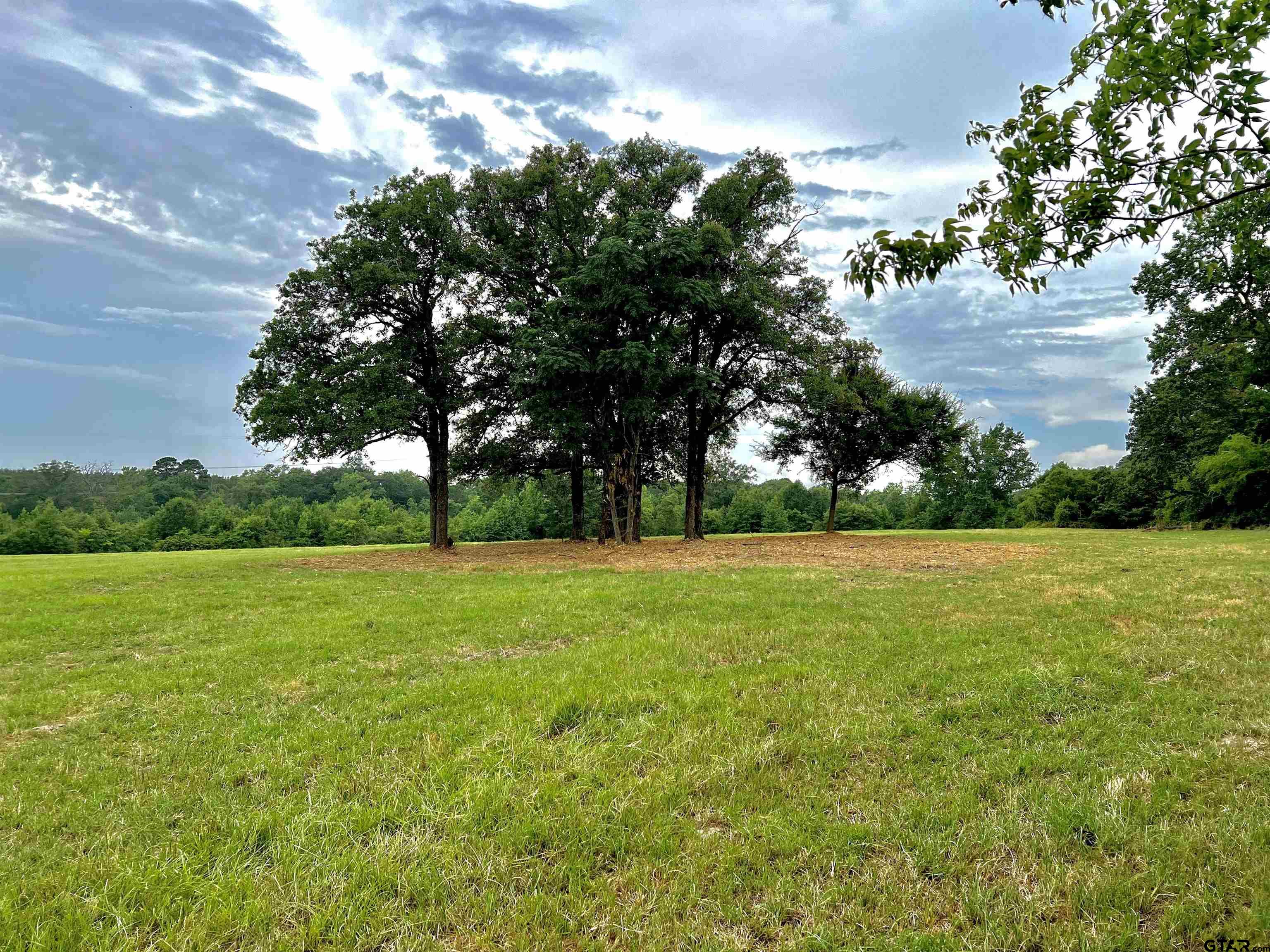 22892 Cr 251 Property Photo 39