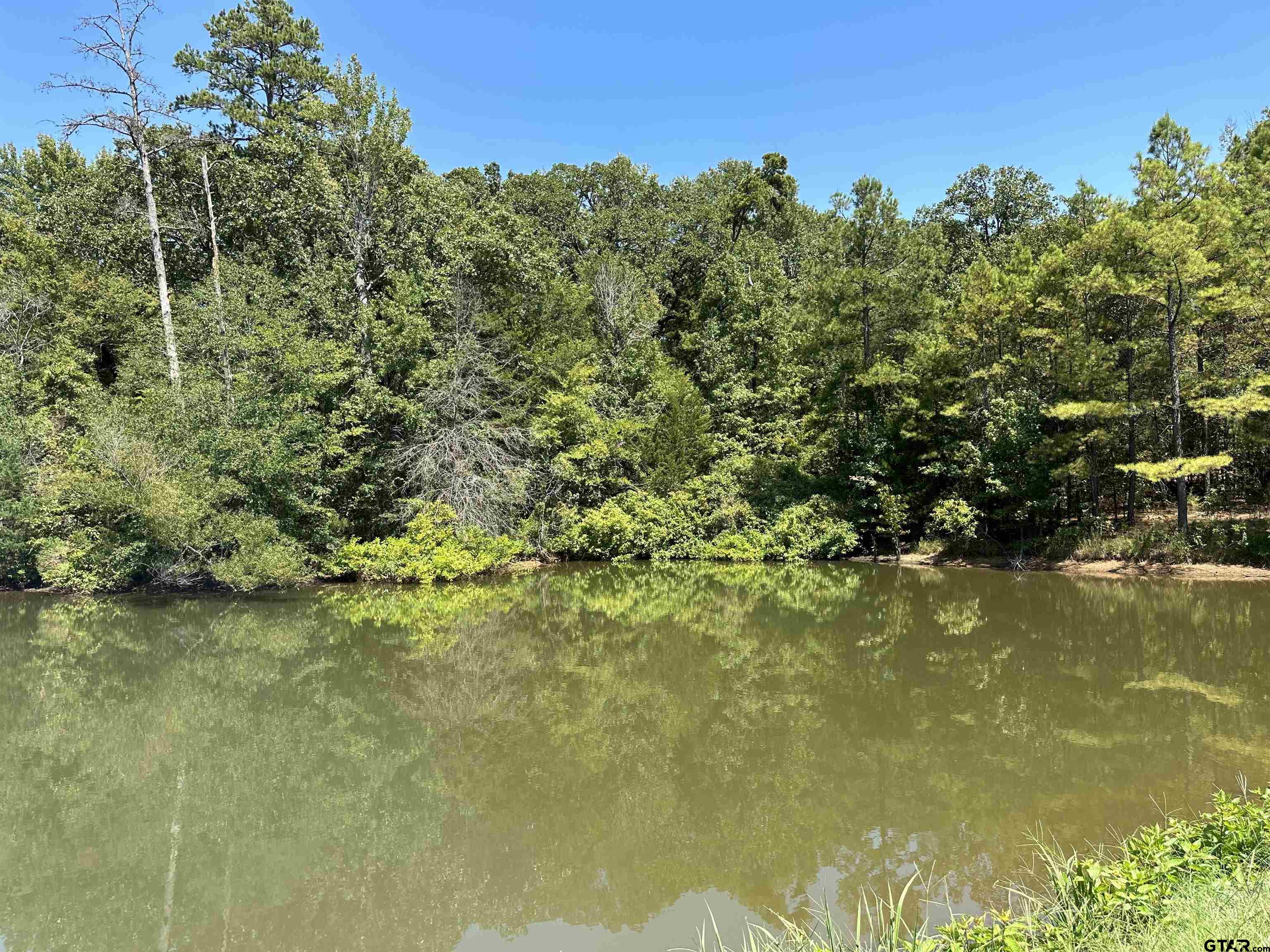 11955 Fm 724 Property Photo 35