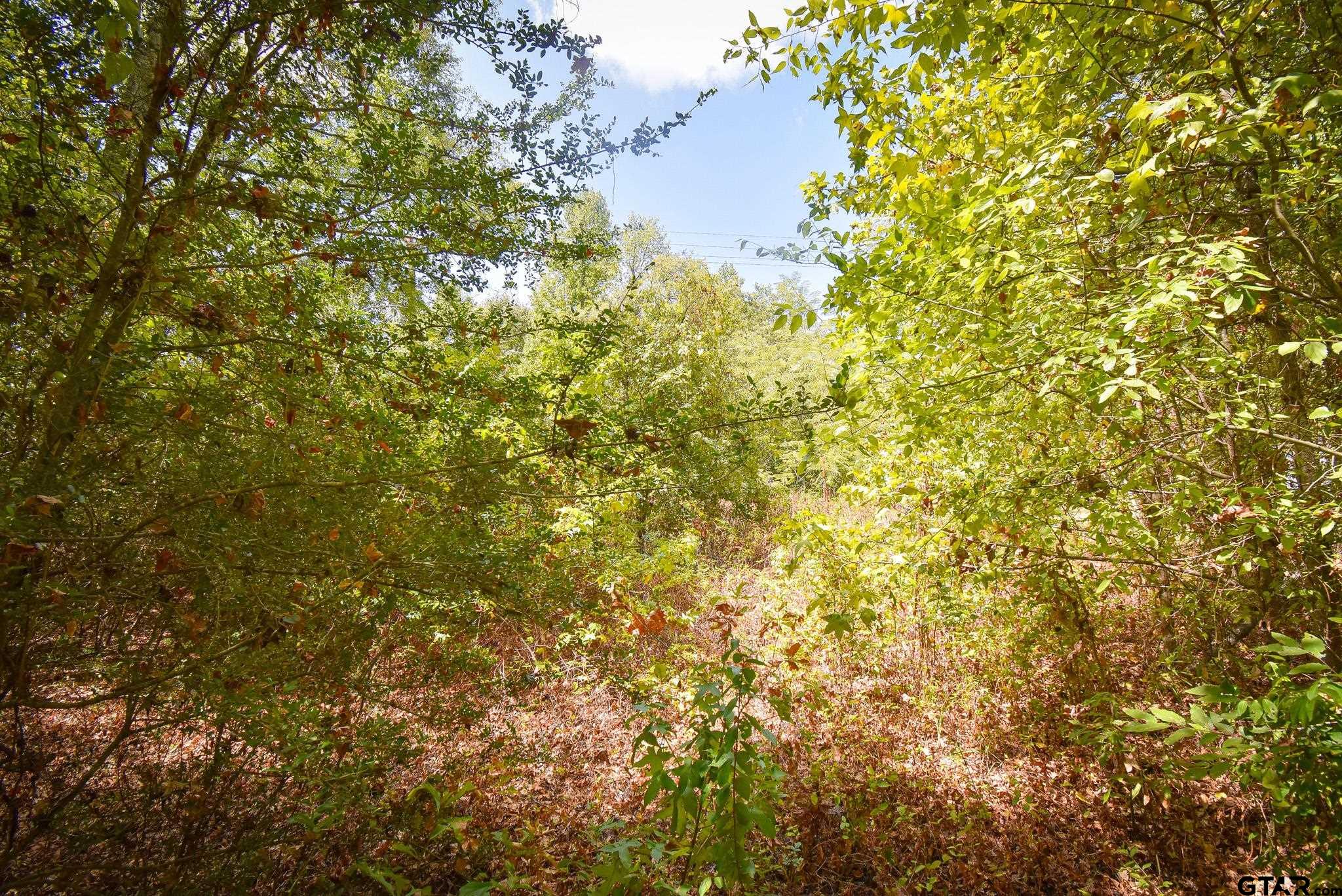 Tbd Cr 333 Property Photo 1