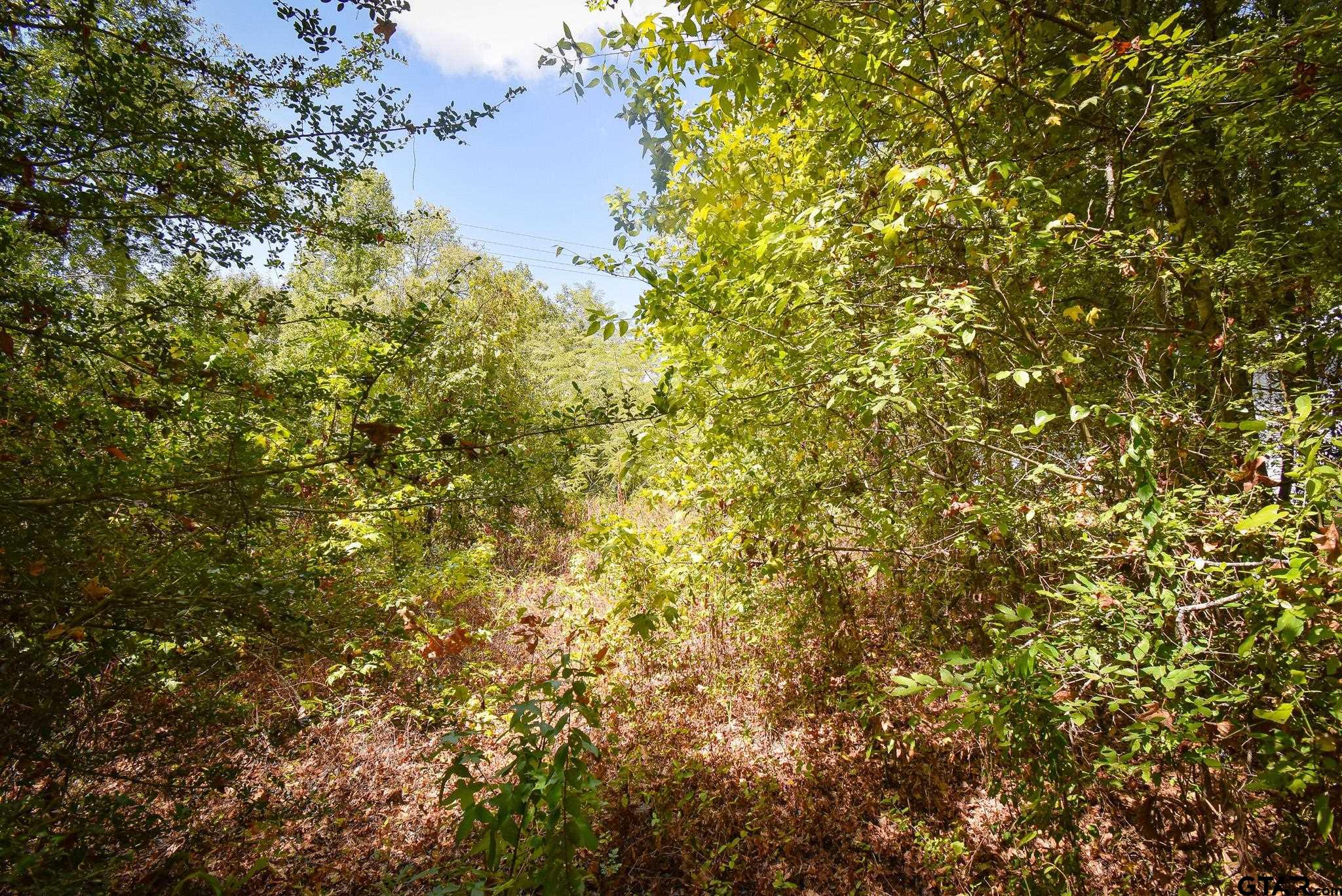 Tbd Cr 333 Property Photo 2