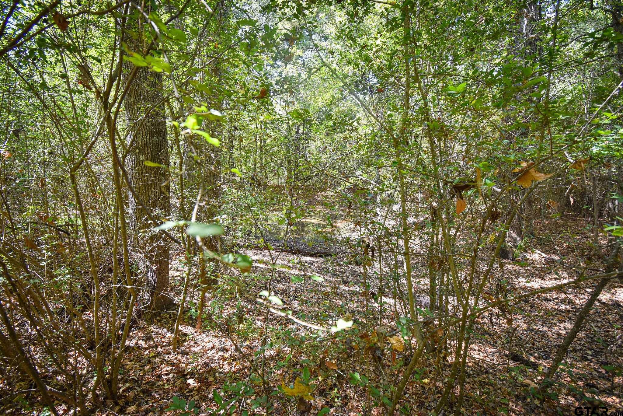 Tbd Cr 333 Property Photo 3